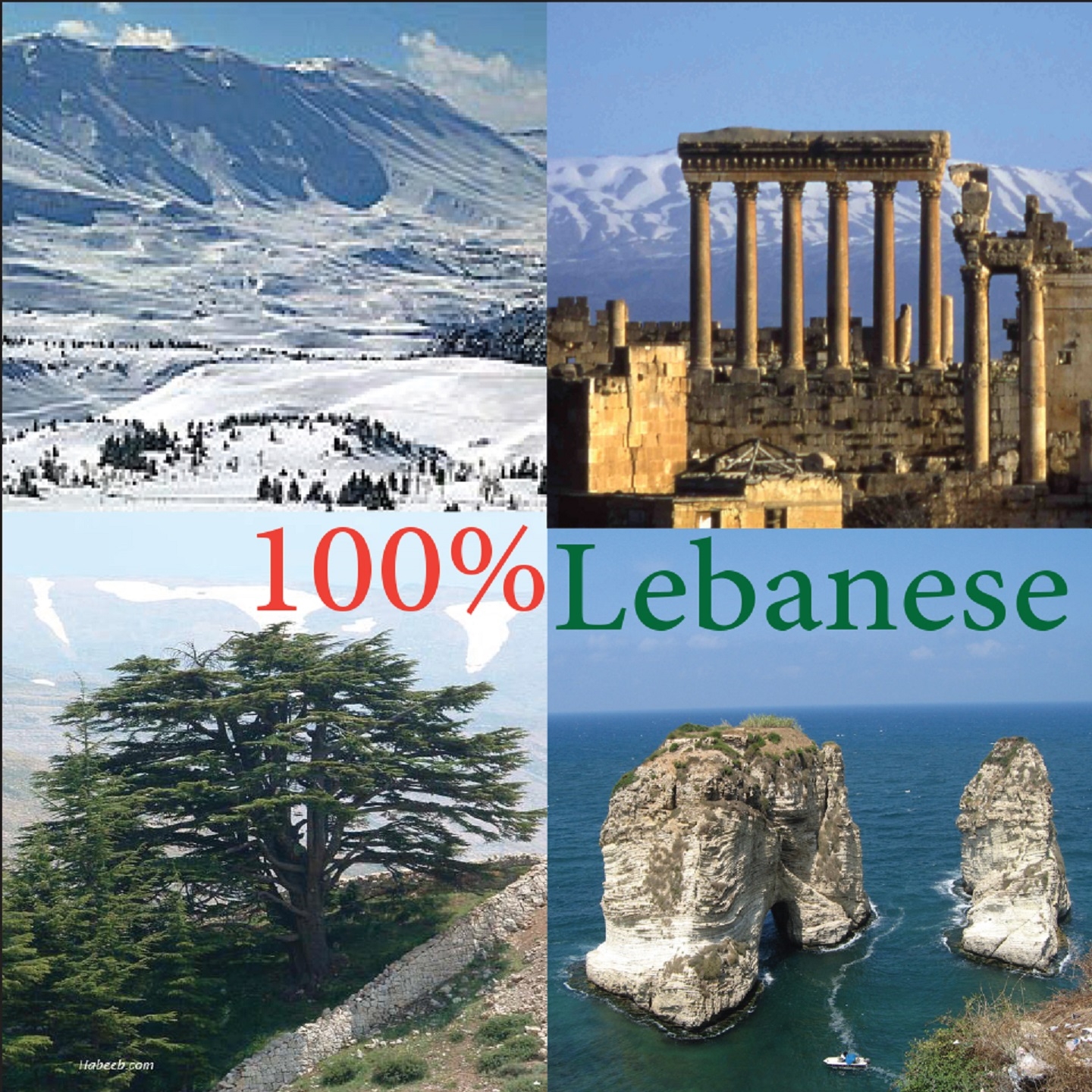 100% Lebanese