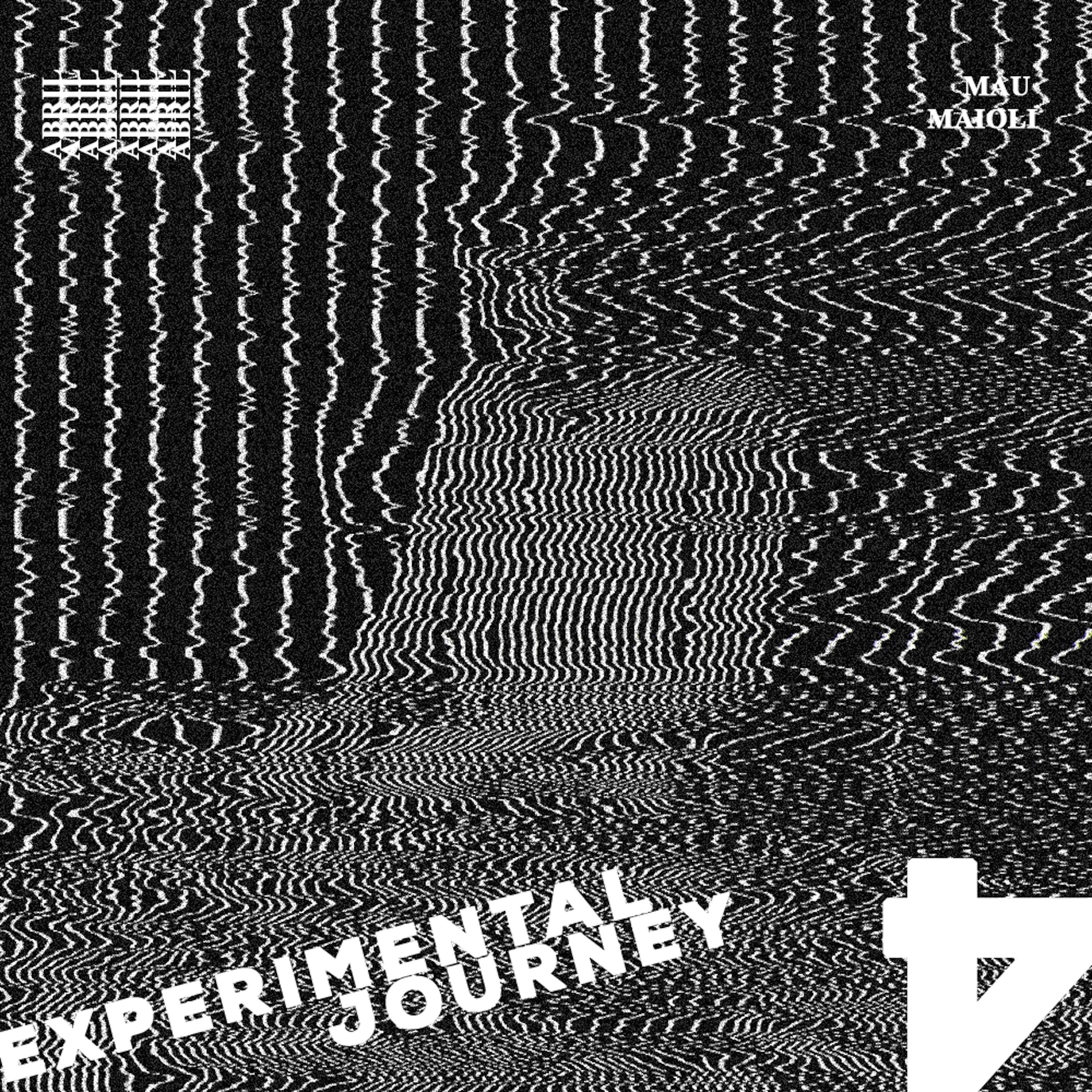 Experimental Journey 4