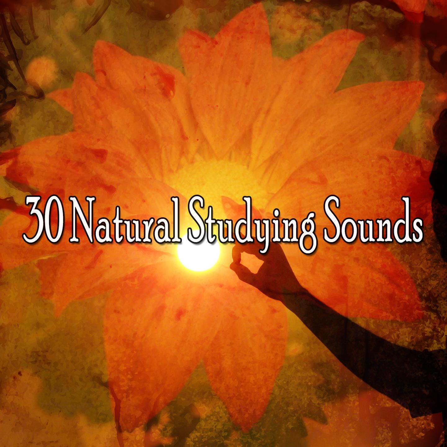 30 Natural Studying Sounds