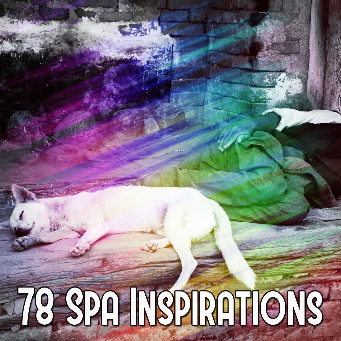 78 Spa Inspirations