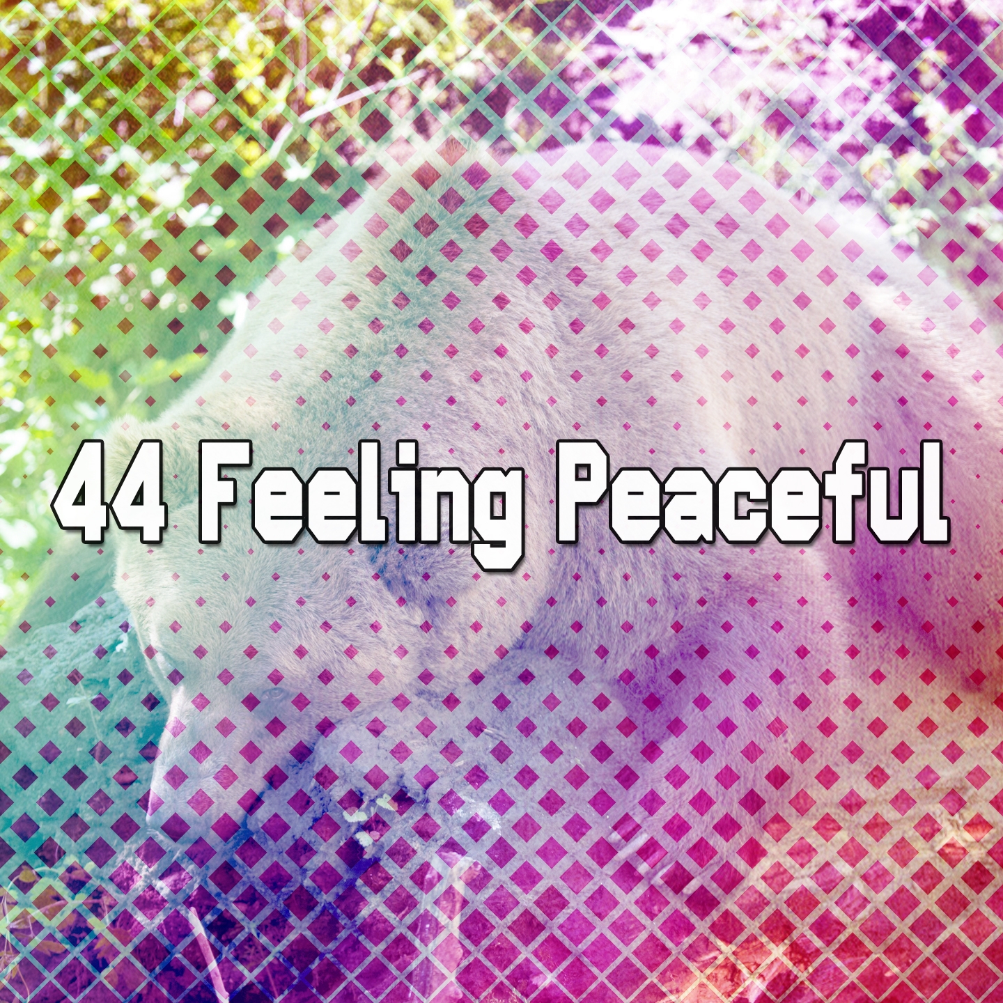 44 Feeling Peaceful