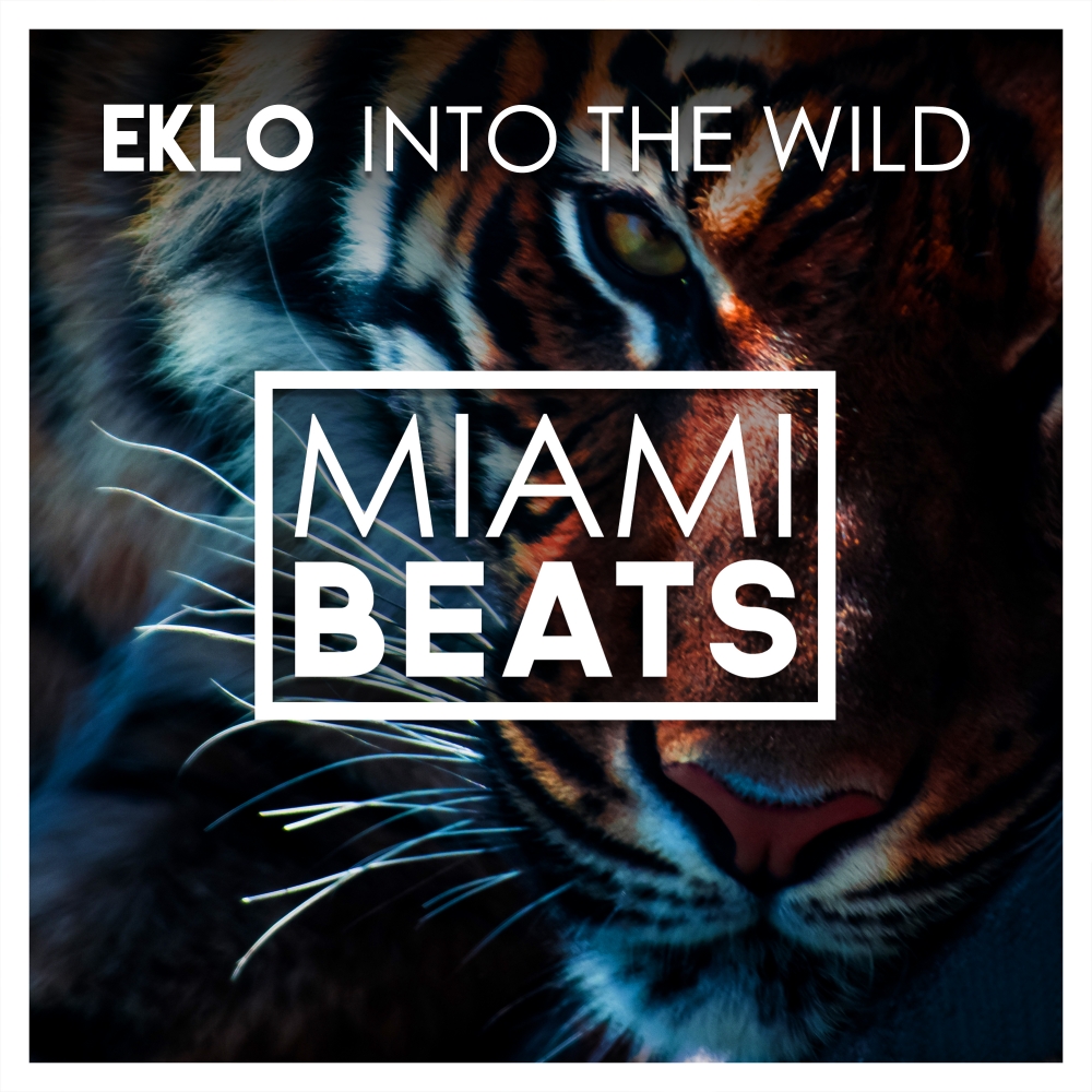 Into The Wild (Extended Mix)