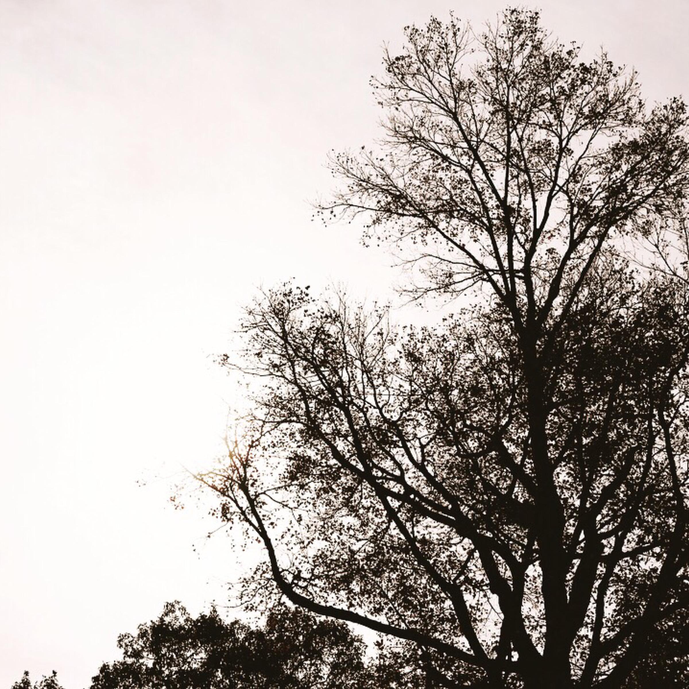 Giving  Up  On  You