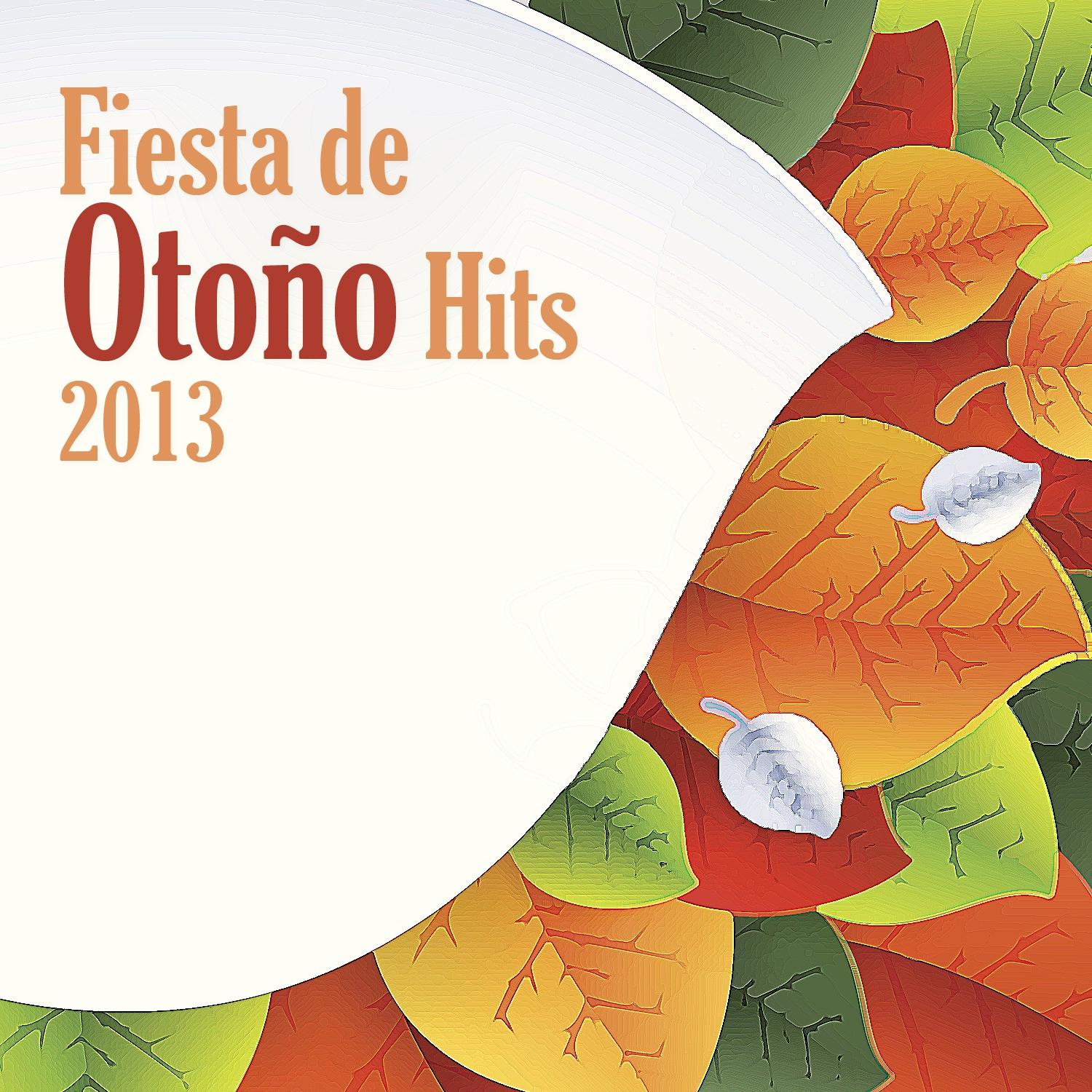 Fiesta de Oto o Hits 2013