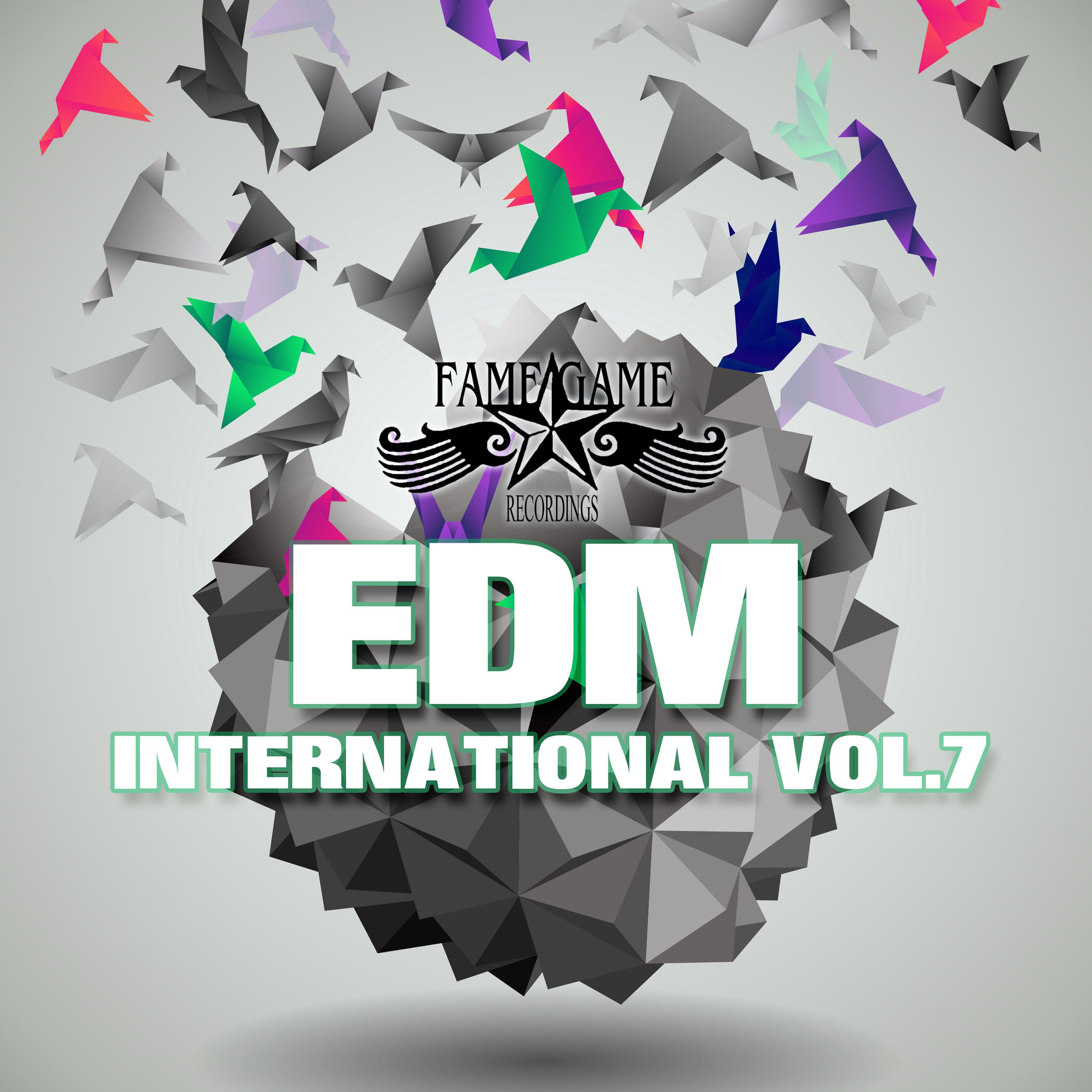 EDM International, Vol. 7