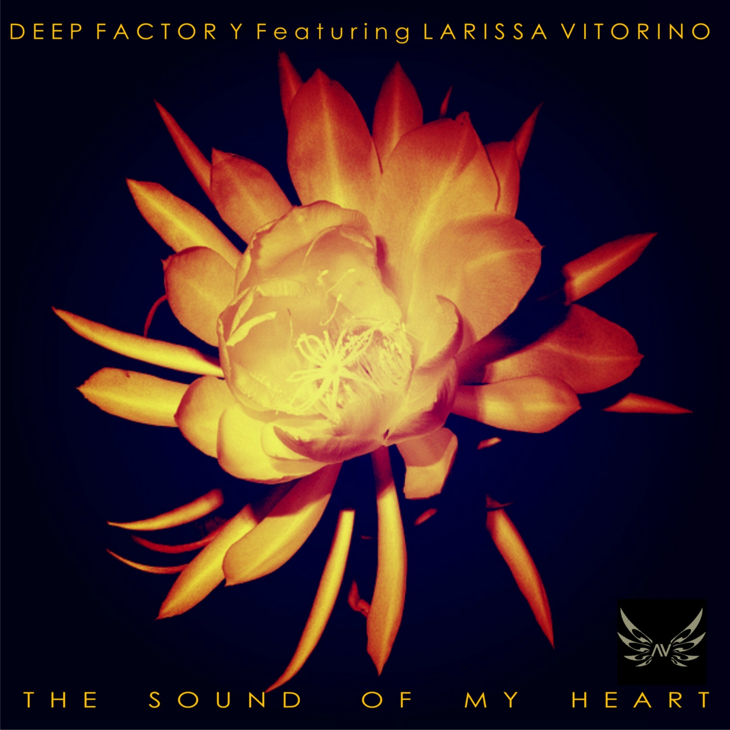 The Sound of My Heart (Dirty Radio Mix)