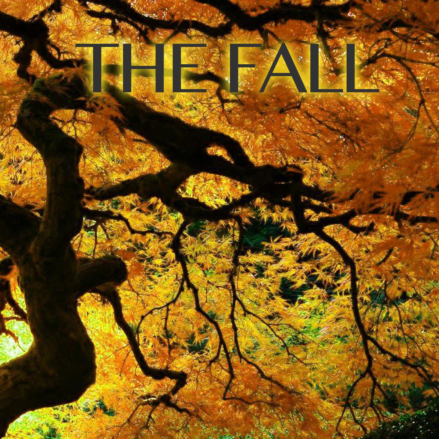 The Fall