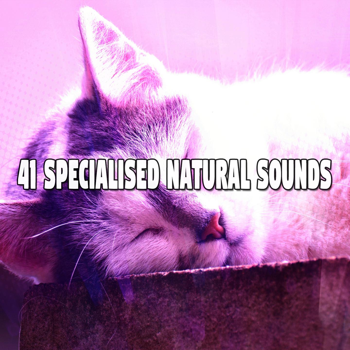 41 Specialised Natural Sounds