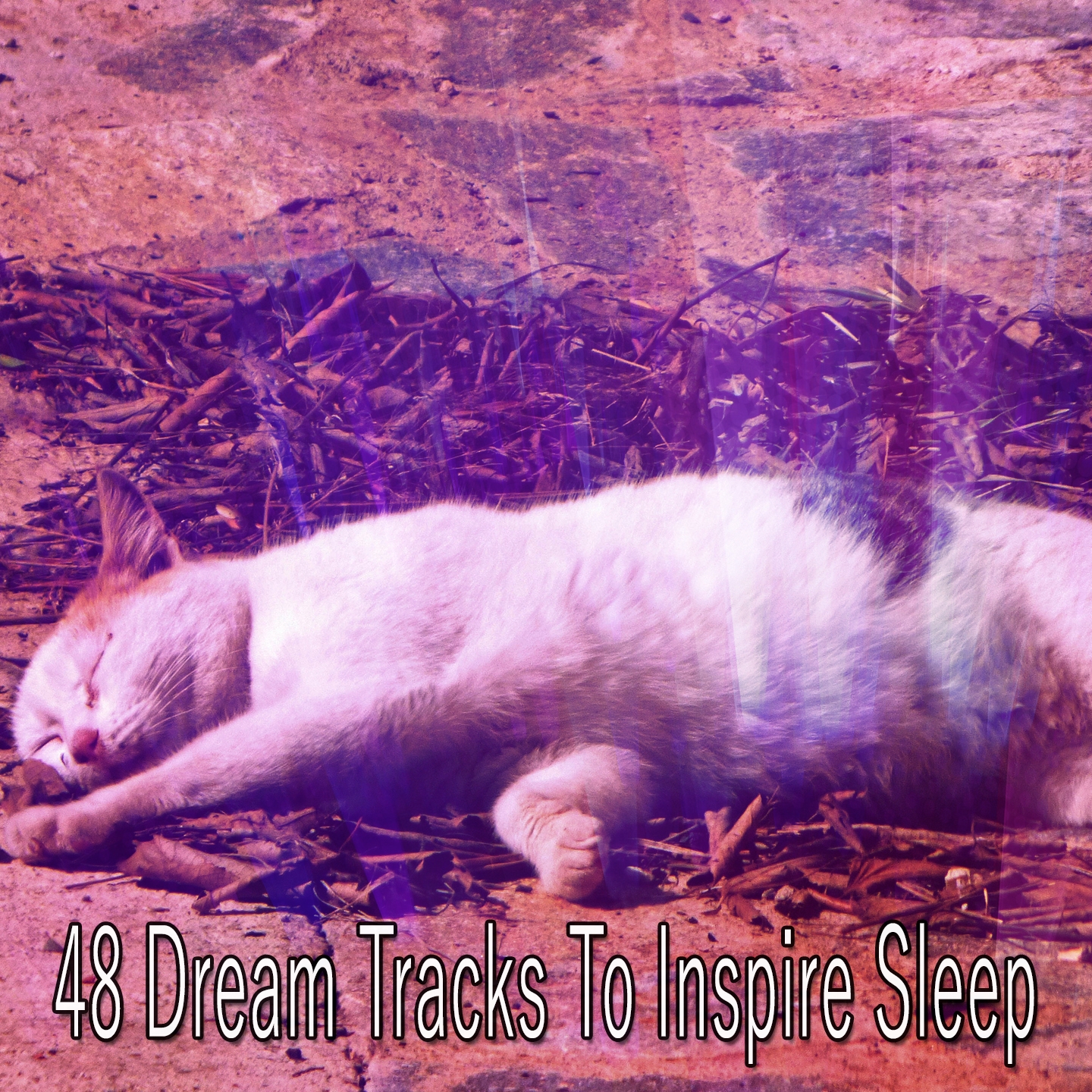 48 Dream Tracks To Inspire Sleep