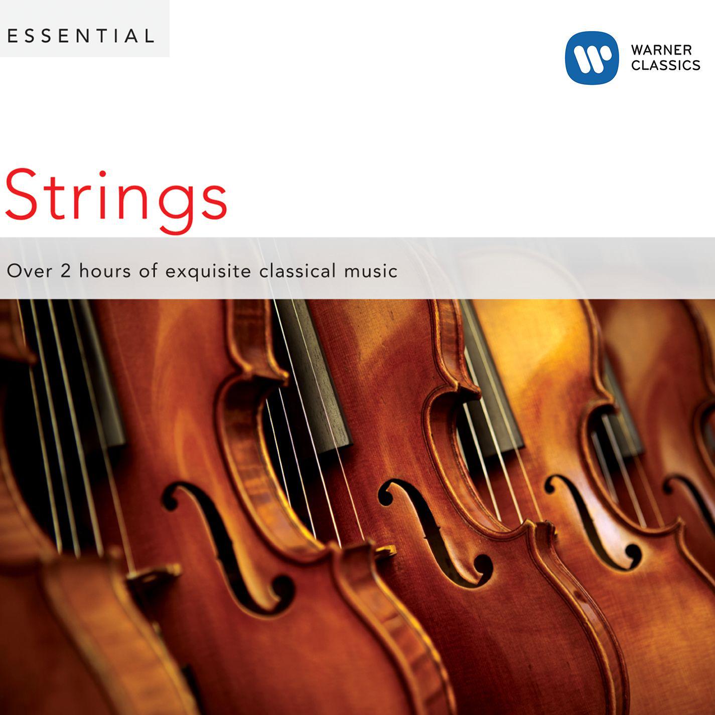String Quintet in E Major, G. 282, Op. 13 No. 6: III. Minuetto - Trio