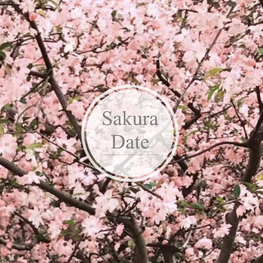 Sakura  Date