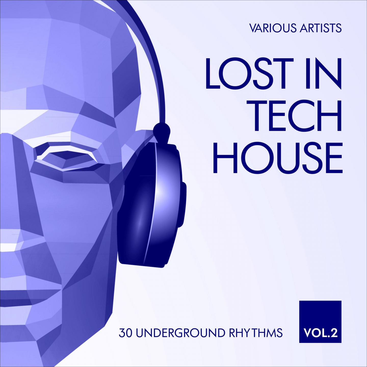 Lost in Tech House (30 Underground Rhythms), Vol. 2