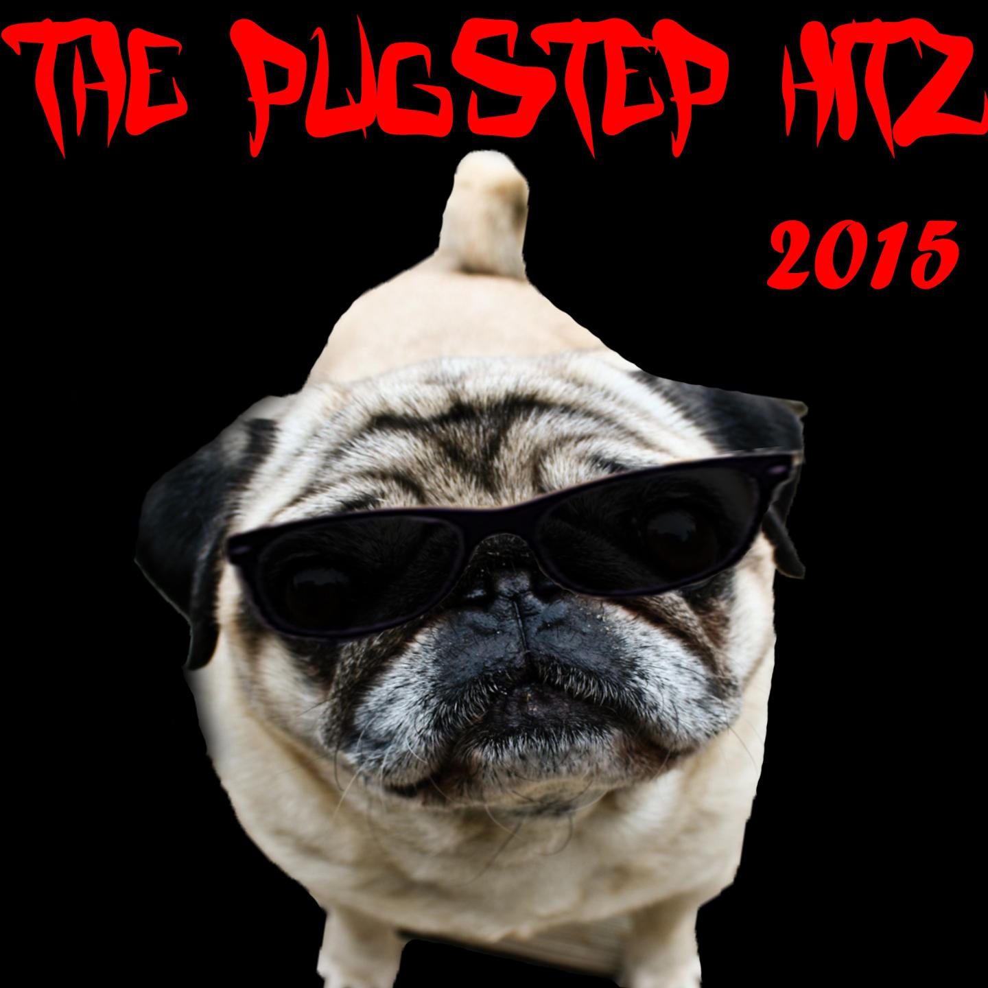 The Pugstep Hitz 2015