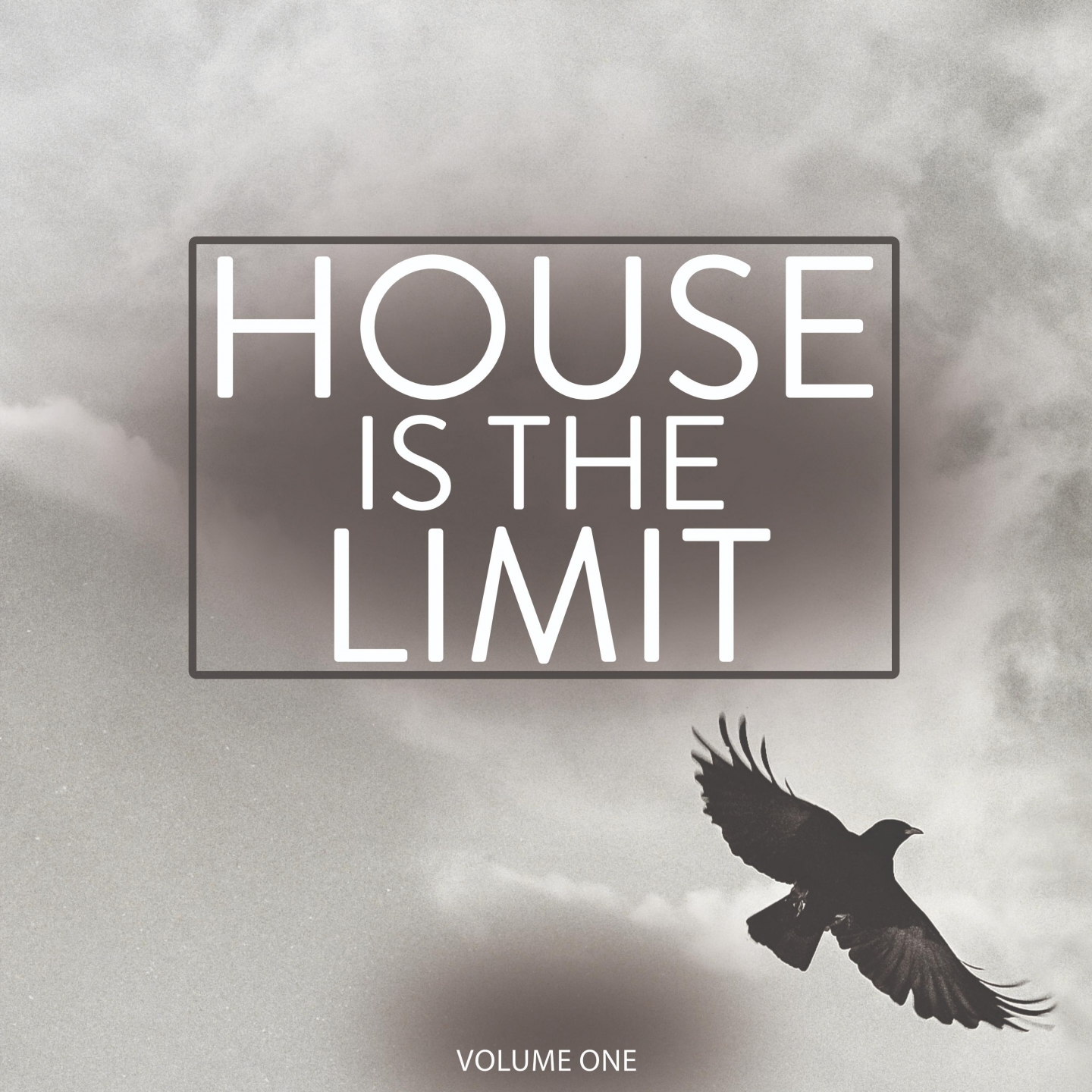 House Is the Limit, Vol.1
