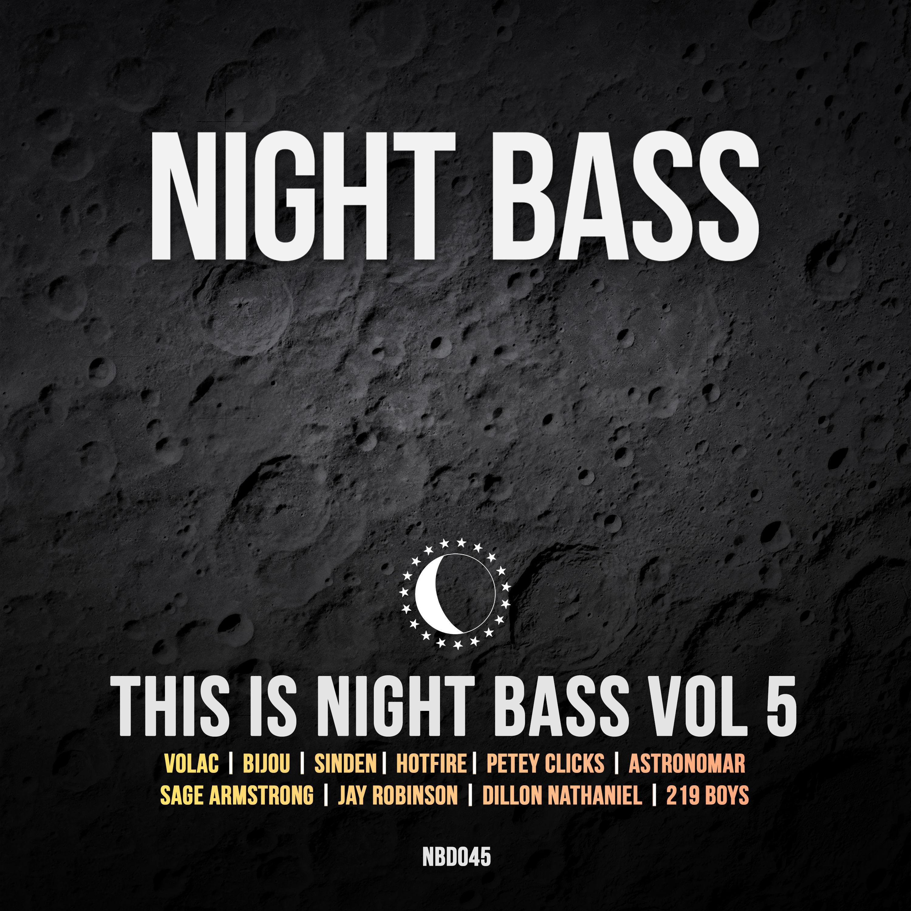 This is Night Bass, Vol. 5