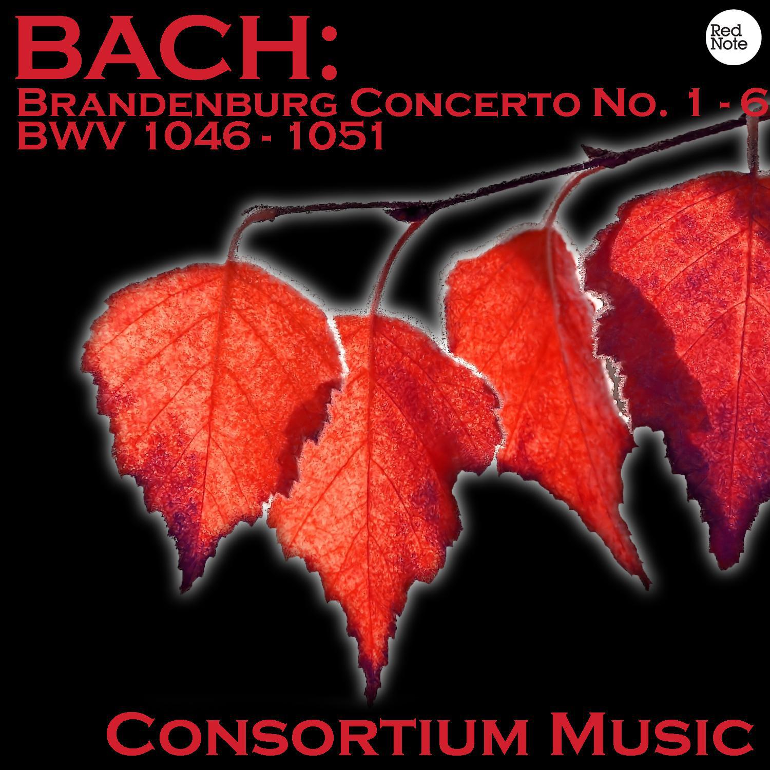 Bach: Brandenburg Concerto No. 1 - 6 BWV 1046 - 1051