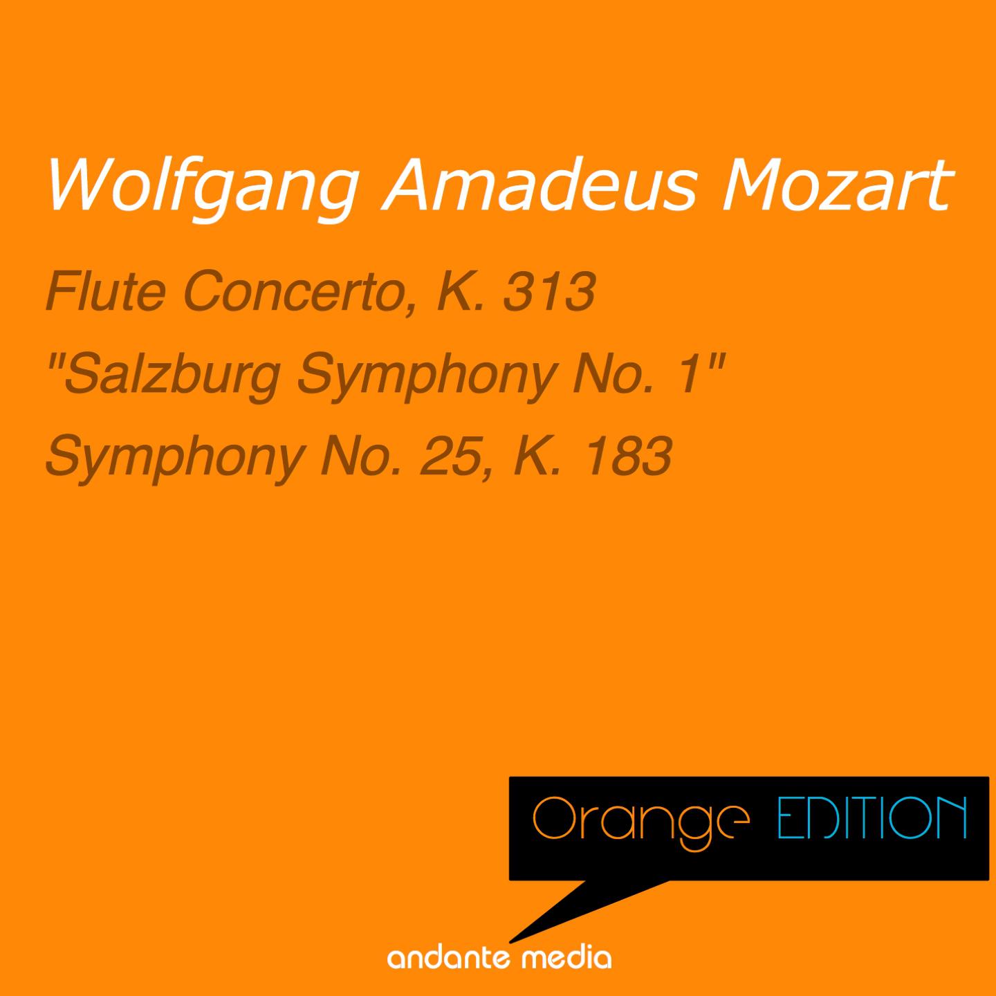 Symphony No. 25 in G Minor, K. 183: IV. Allegro
