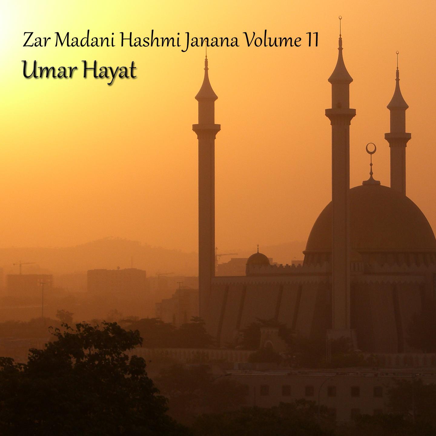 Zar Madani Hashmi Janana, Vol. 11