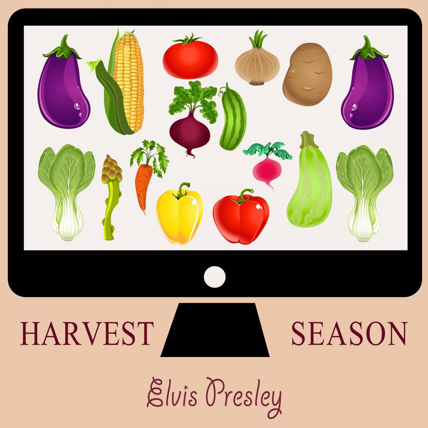 Harvest Season