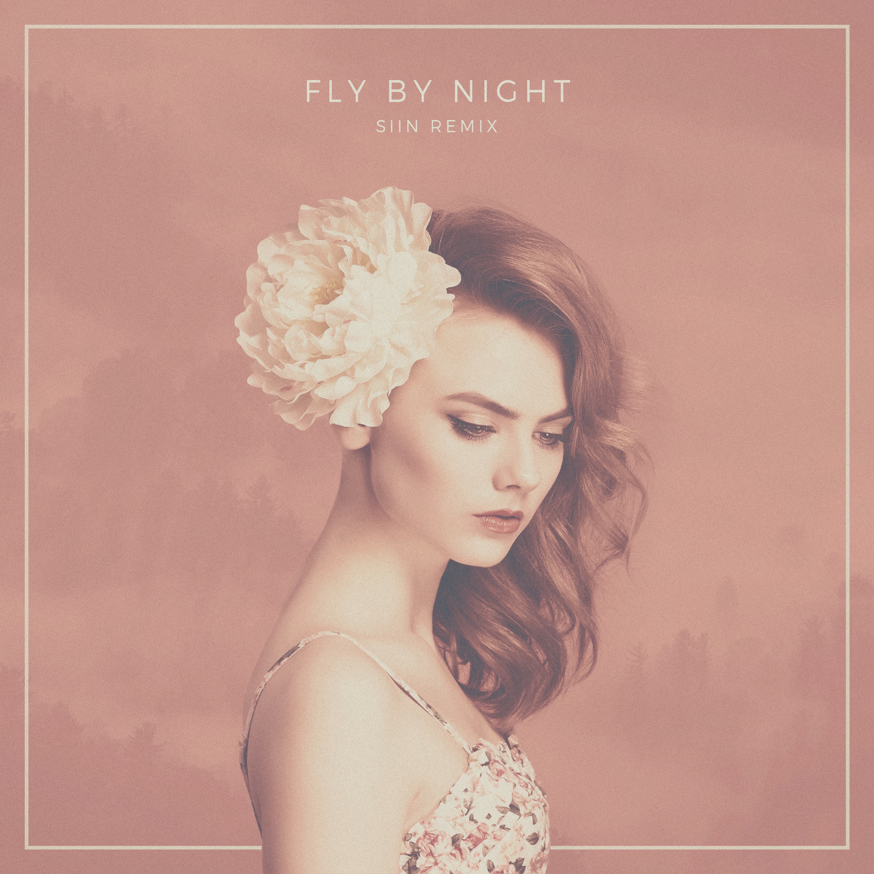 Fly By Night (SIIN Remix)