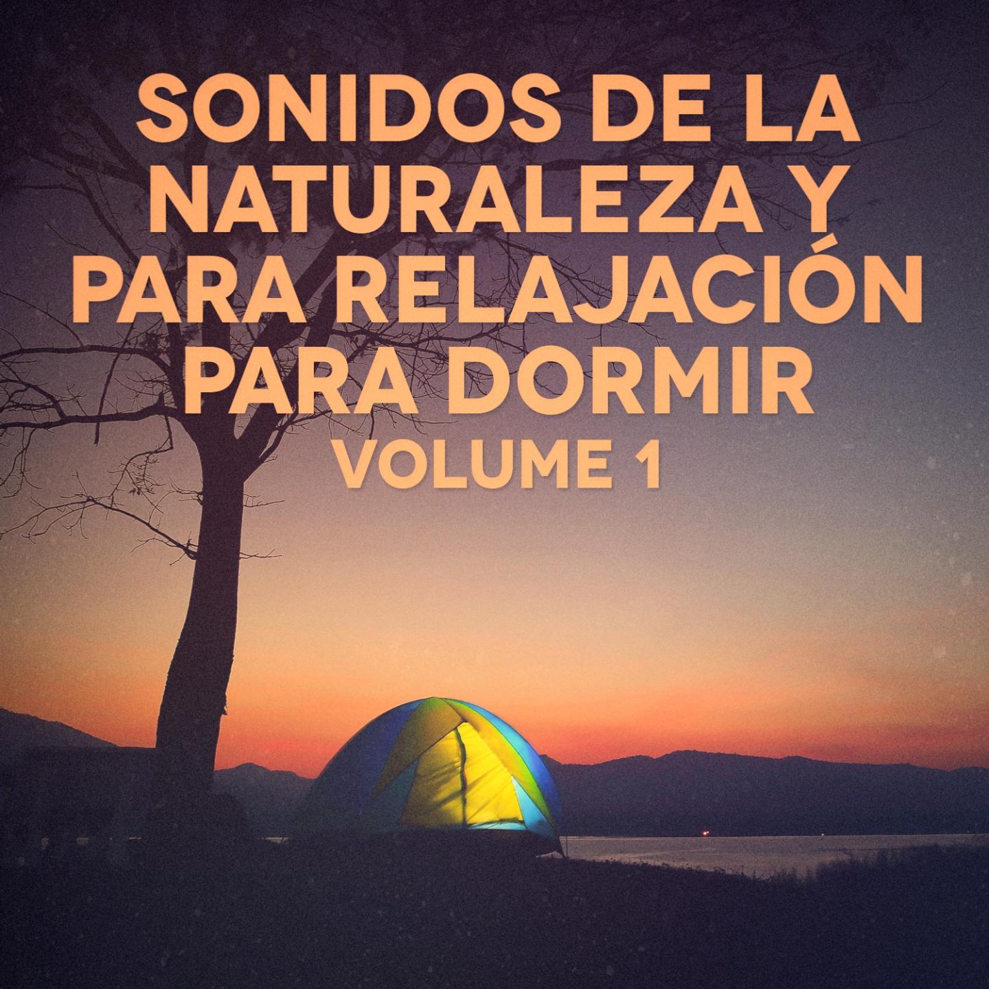 Sonidos Nocturnos de Tierra Desolada 1: Grillos, Saltamontes y Bu hos