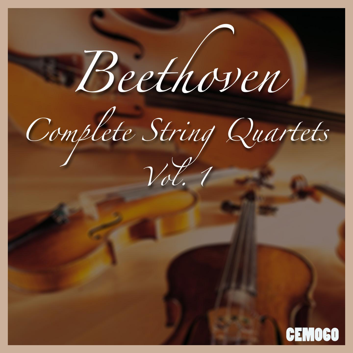 String Quartet No. 4 in C Minor, Op. 18 No. 4: I. Allegro, ma non tanto