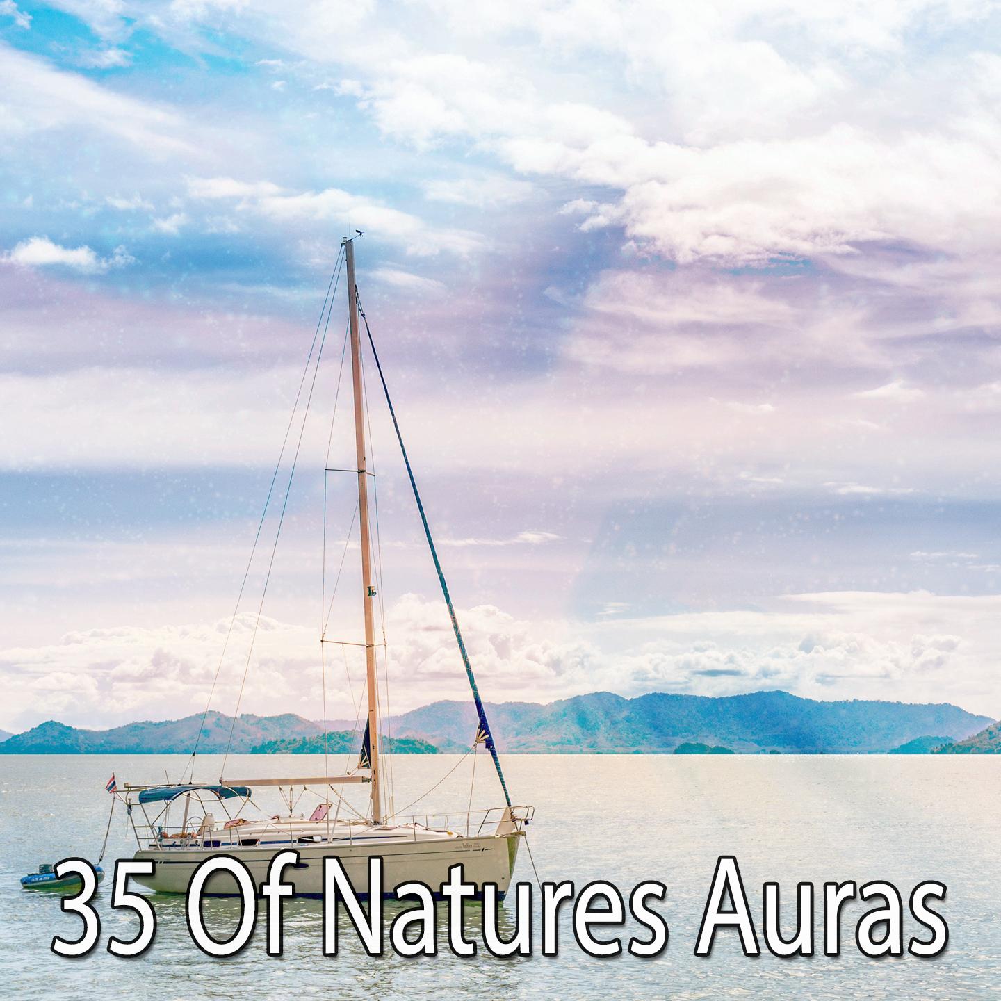 35 Of Natures Auras