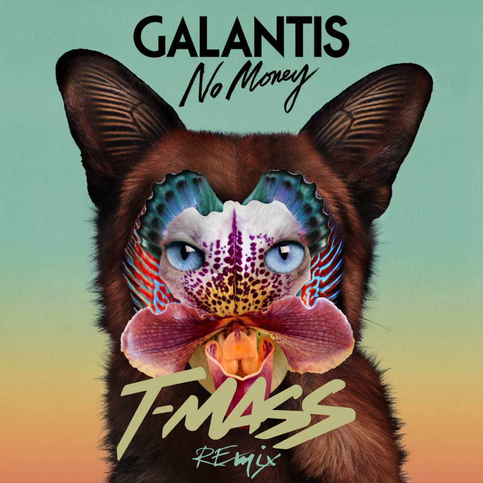 No Money (T-Mass Remix)