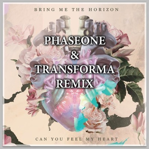 Can You Feel My Heart (PhaseOne & Transforma Remix)