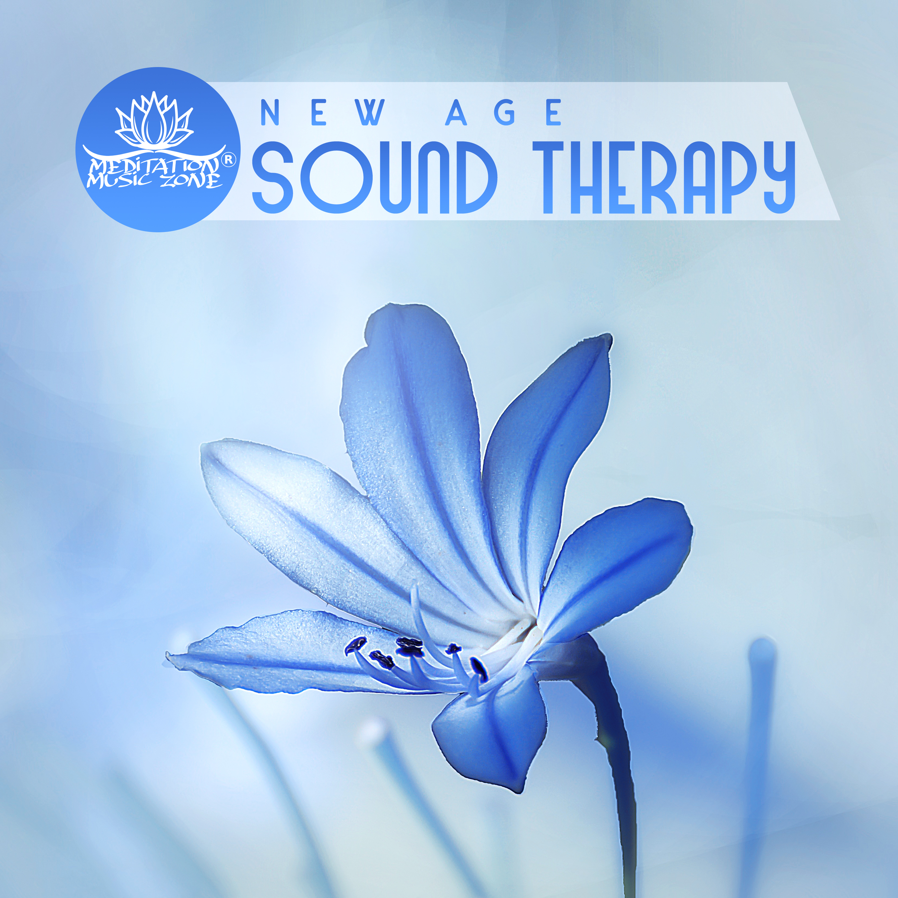 New Age Sound Therapy (Easy Listening Music for Relaxation, Meditation & Spa)