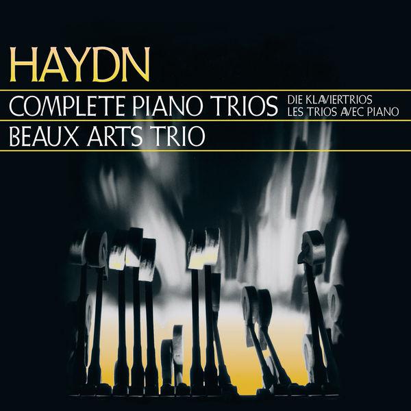 Haydn: Piano Trio in G minor, H.XV No.19 - 3. Presto