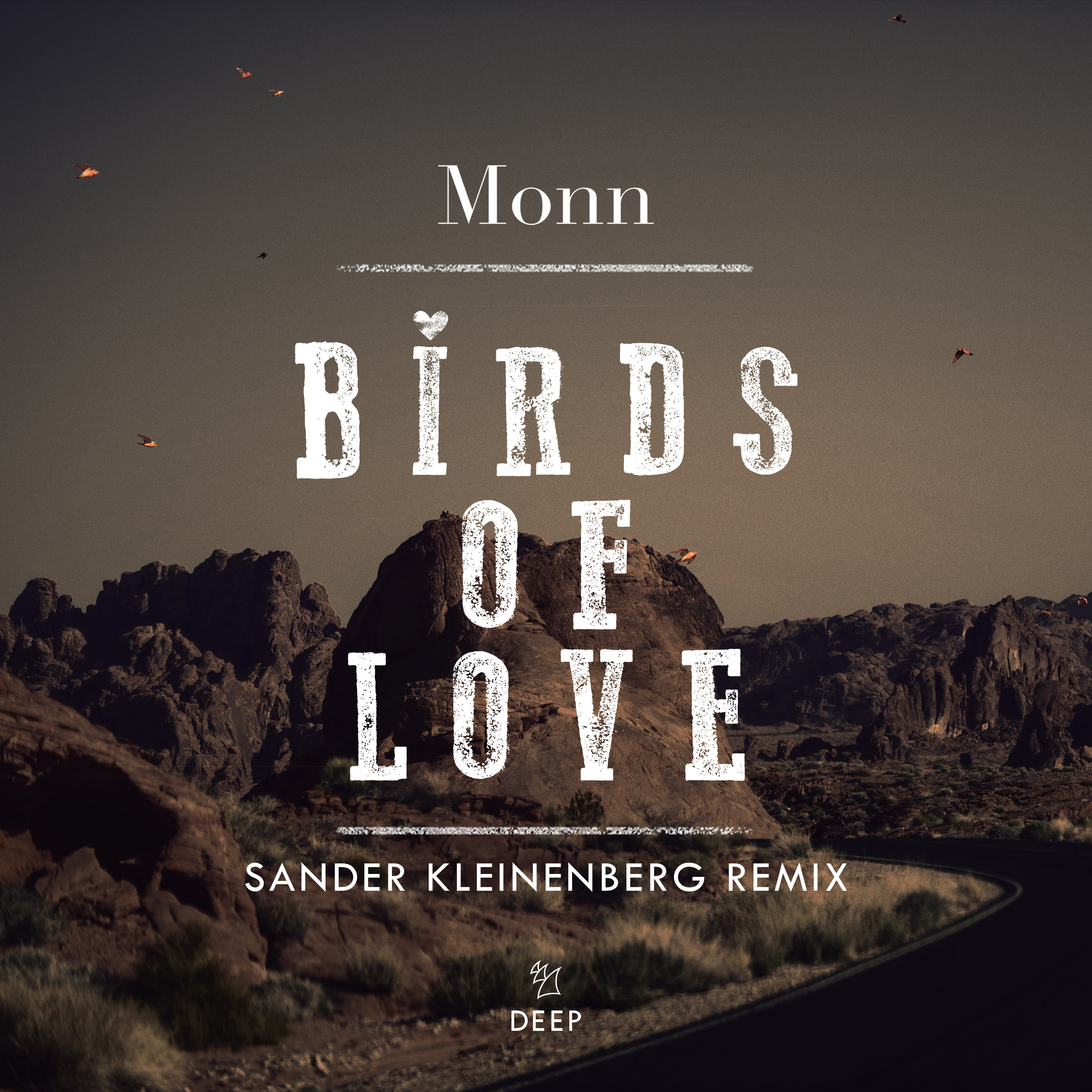 Birds Of Love (Sander Kleinenberg Remix)
