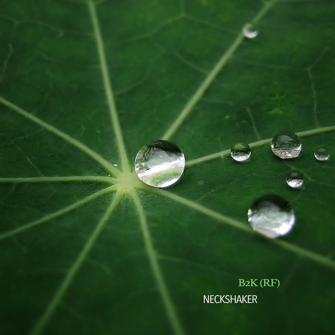 Words (Original Mix)