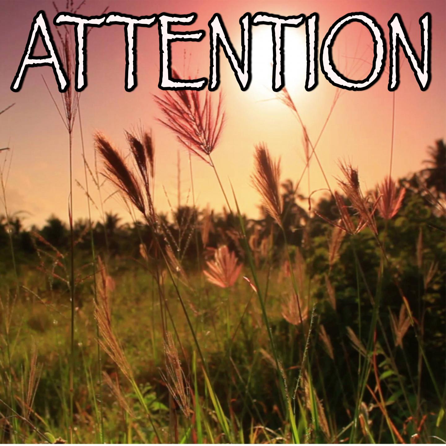 Attention - Tribute to Charlie Puth (Instrumental Version)