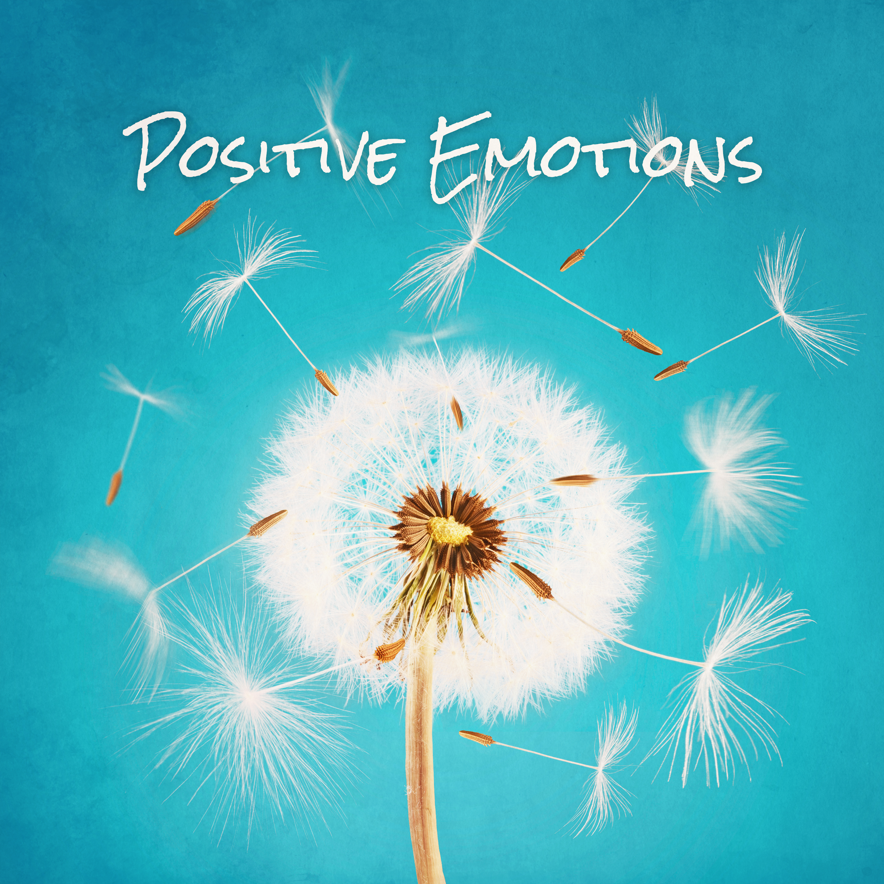 Positive Emotions (Relaxation Music, Stress Relief, Spa & Wellness, Brain Waves, Body Balance, Free Your Soul & Mind, Inspiration)