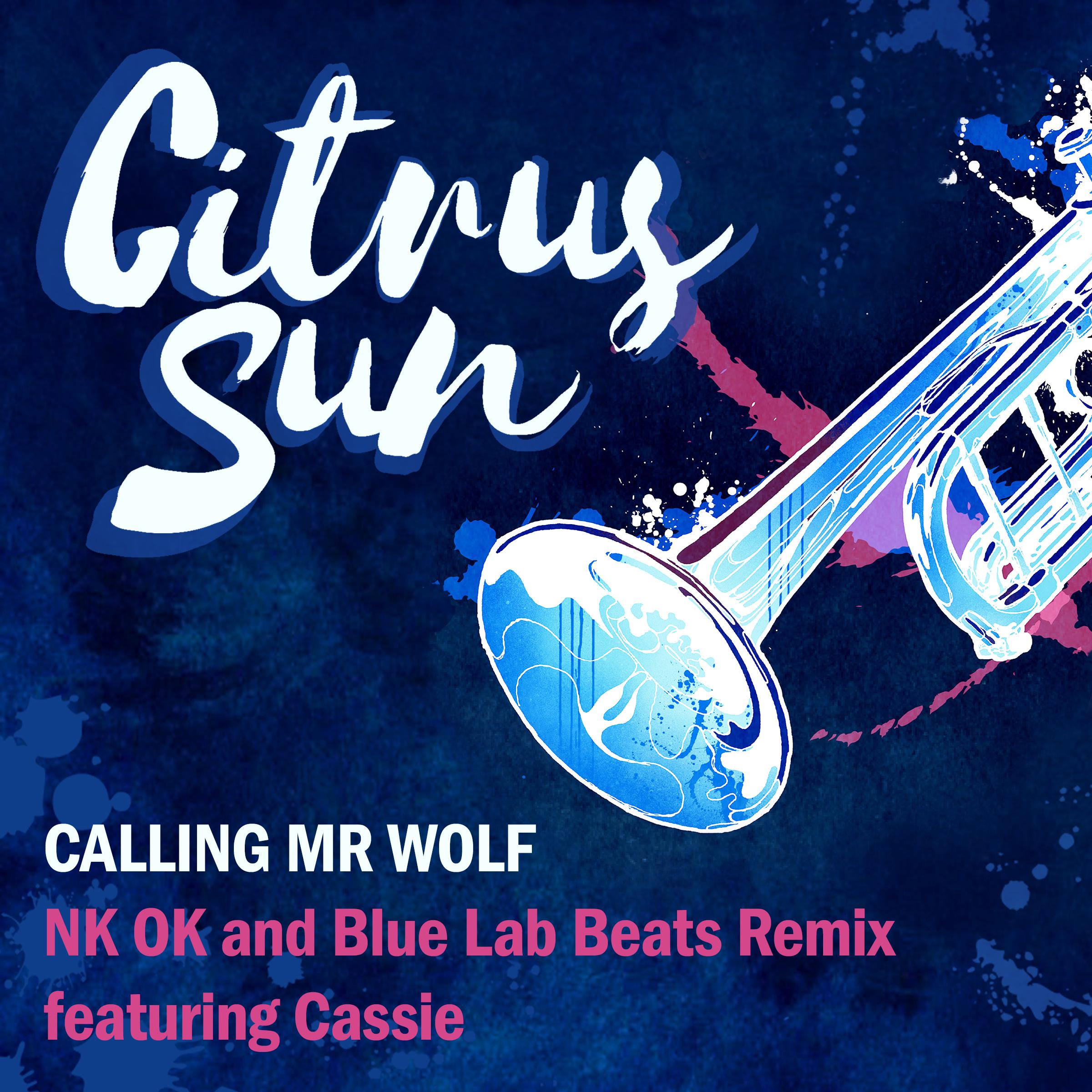 Calling Mr Wolf (feat. Cassie) [NK-OK and Blue Lab Beats Remix]