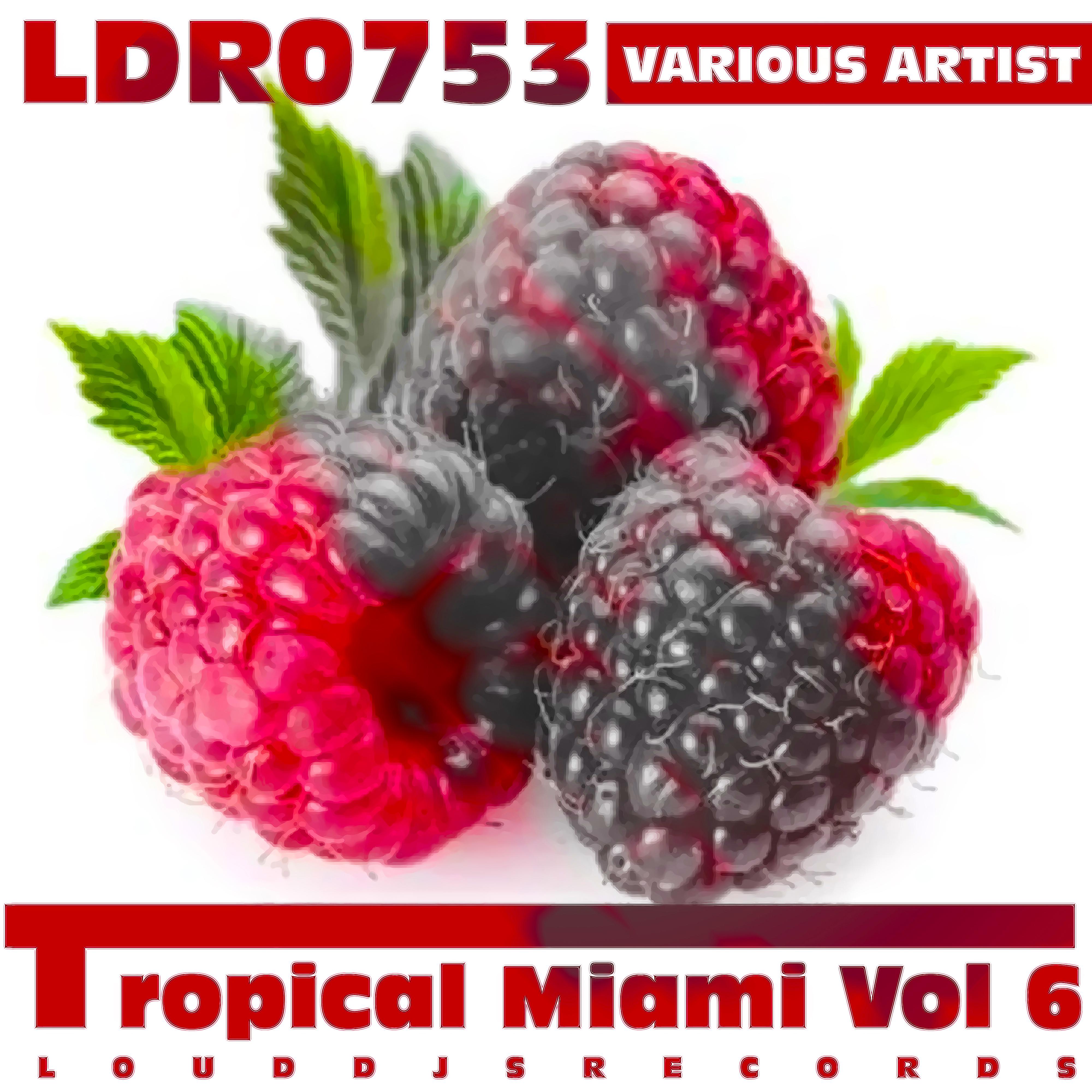 Tropical Miami, Vol. 6