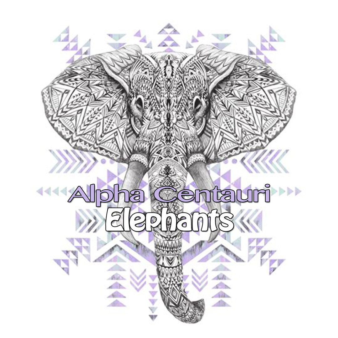 Elephants