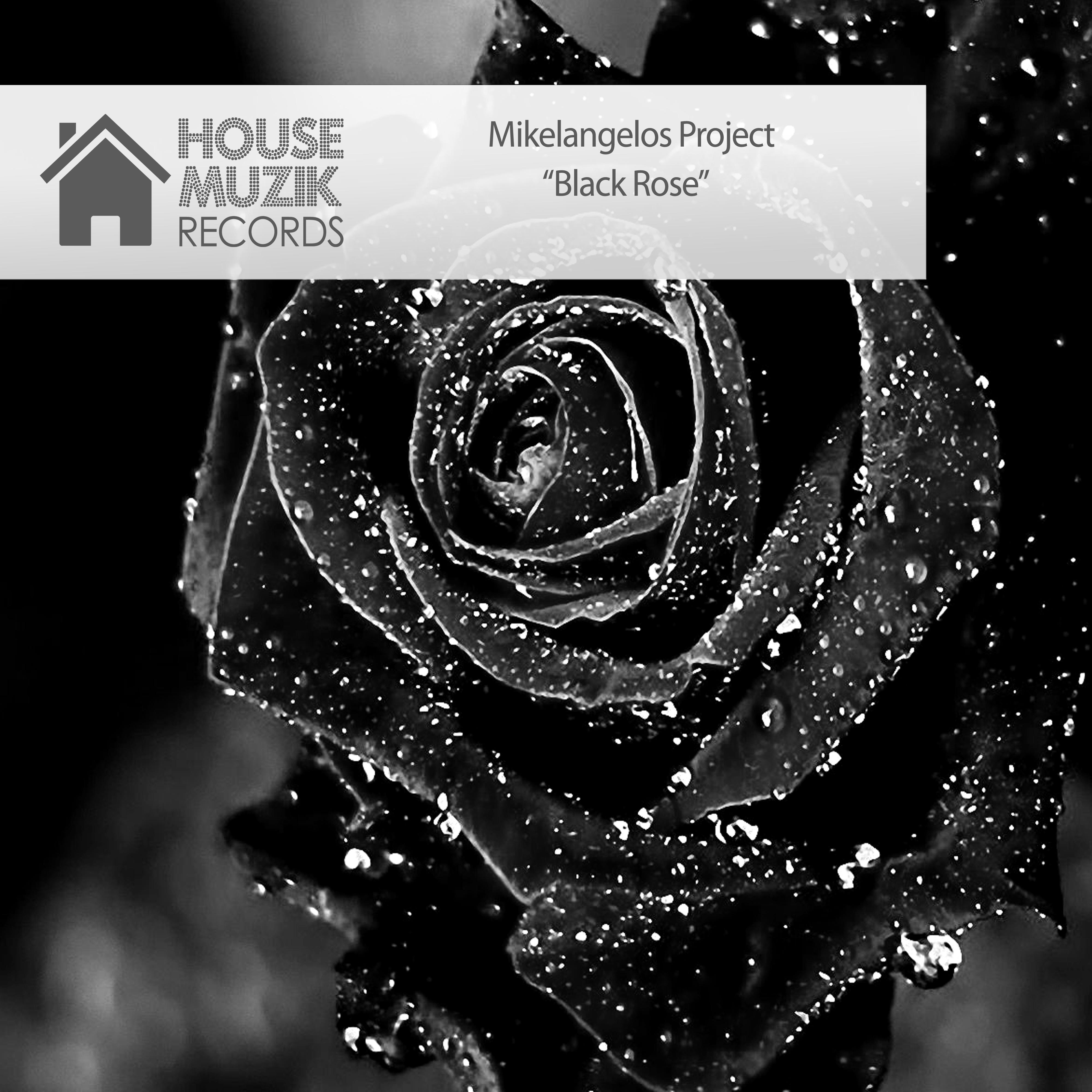 Black Rose