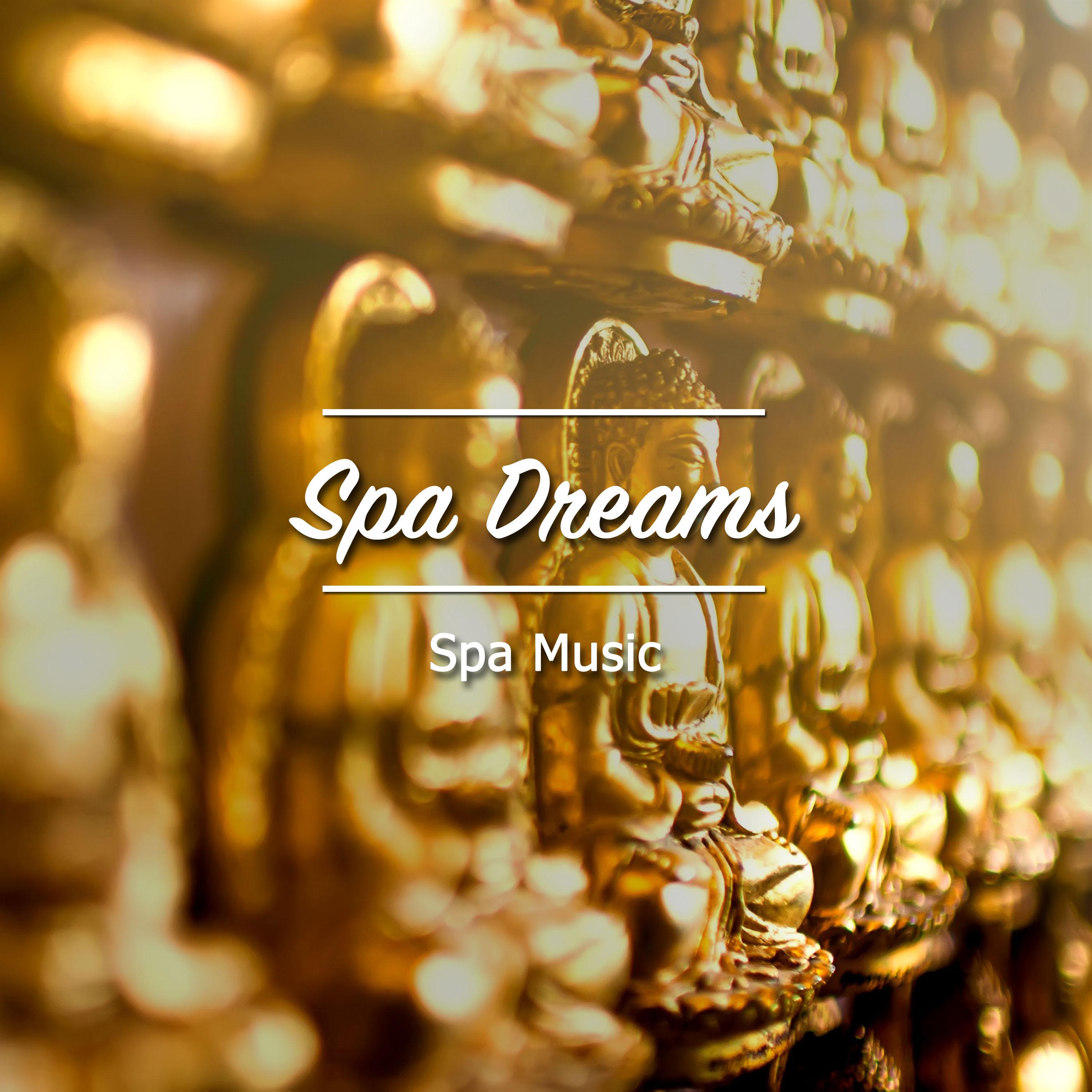 18 Spa Music - Spa Dreams