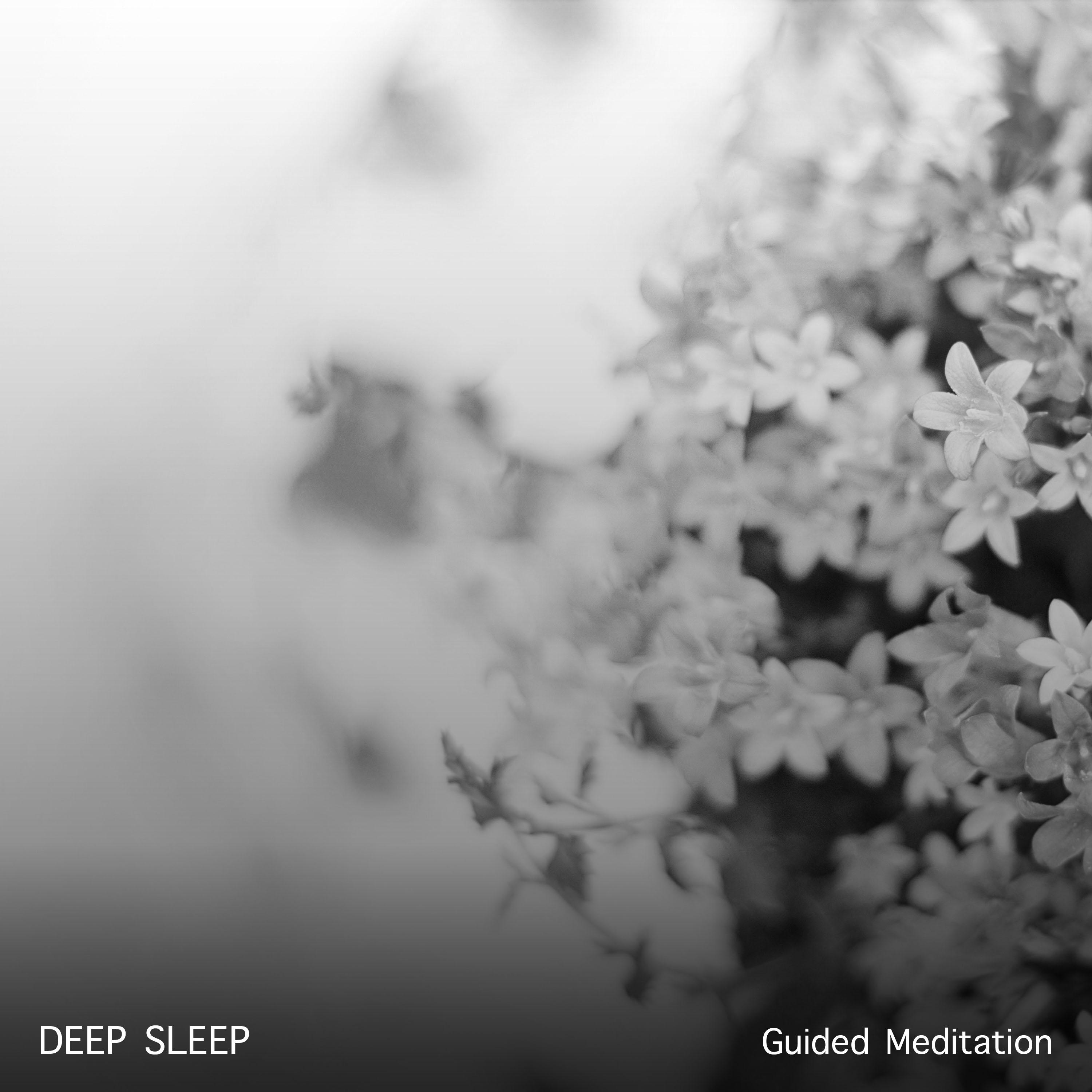 15 Guided Meditation Songs: Deep Sleep