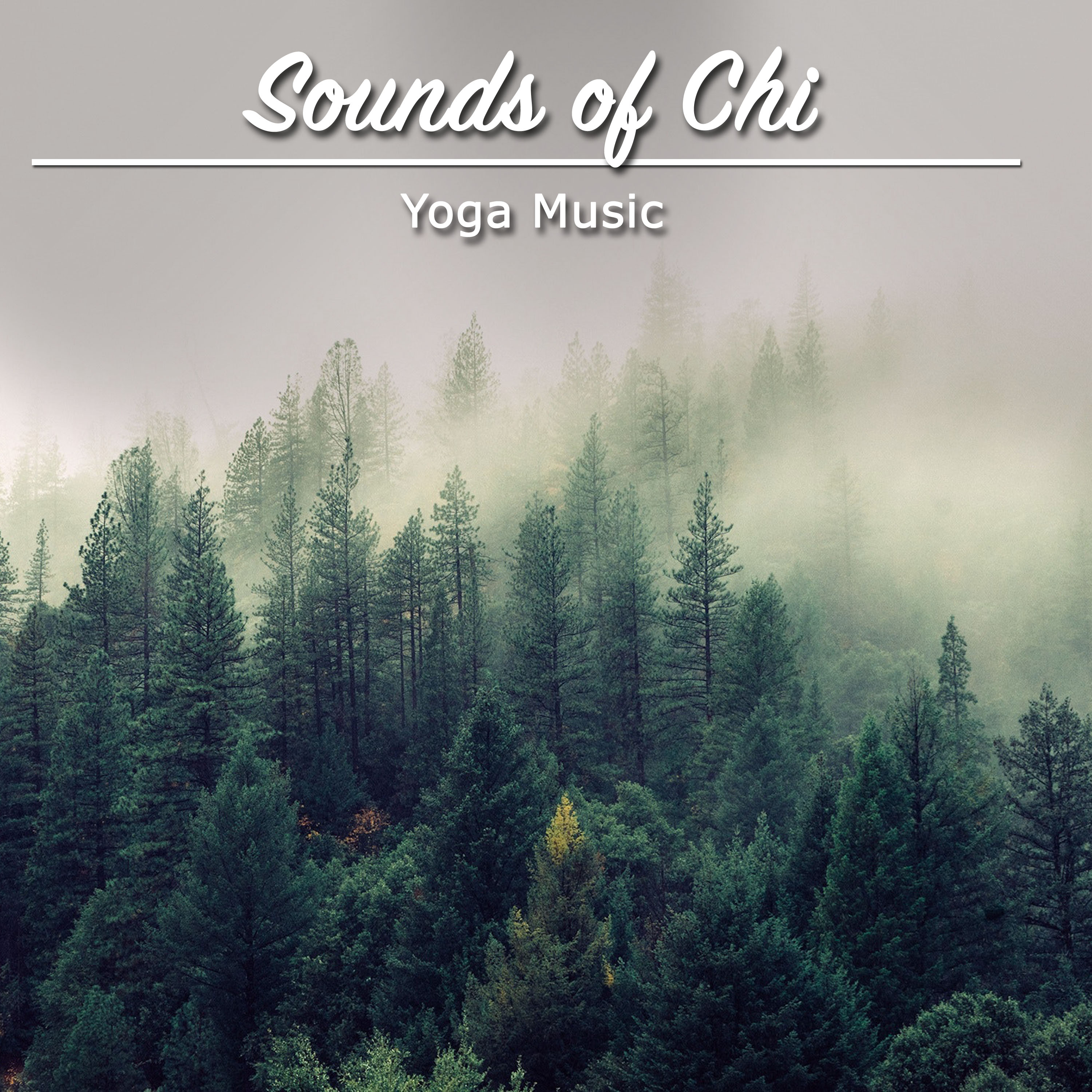 14 Sounds of Chi: Yoga Music