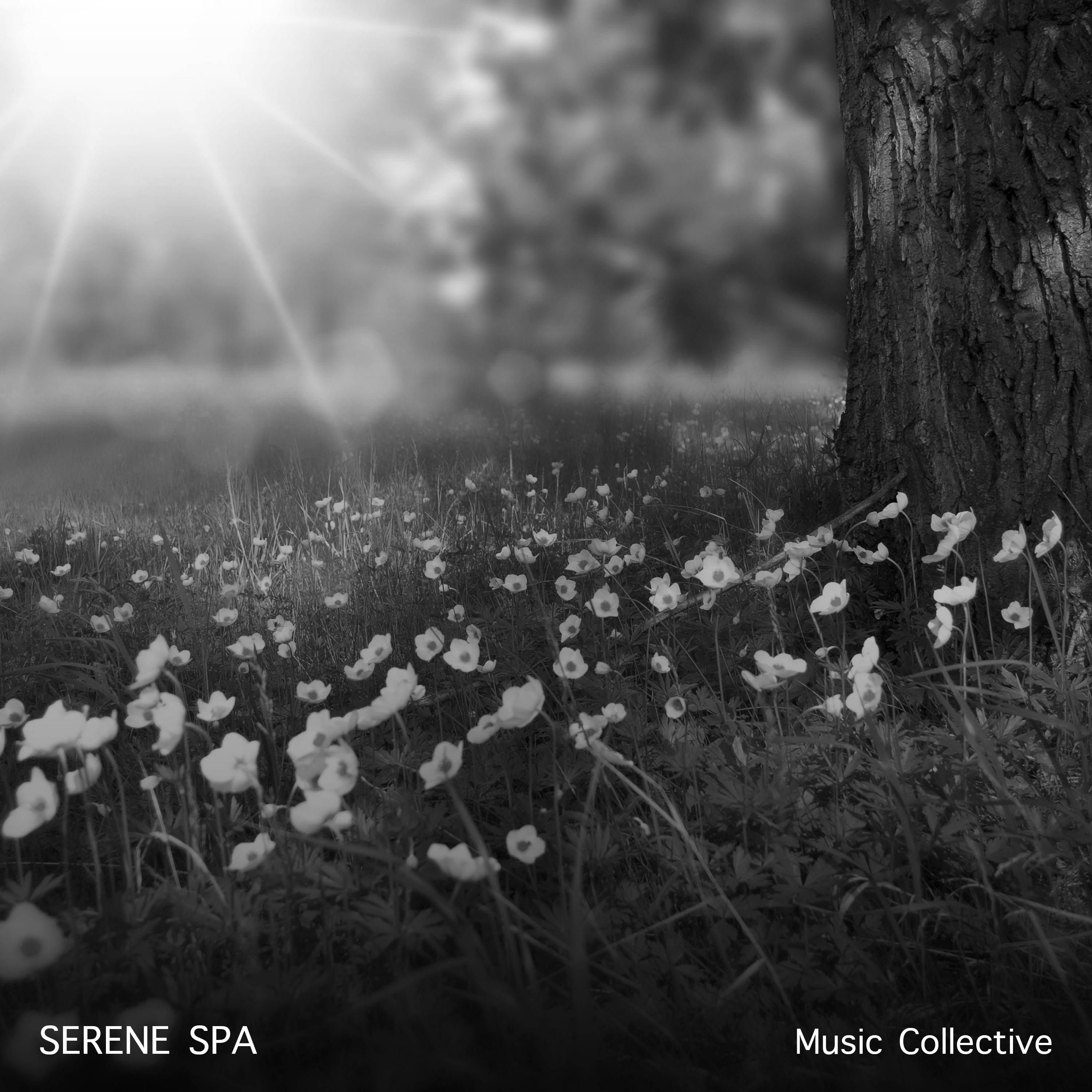 12 Serene Spa Sounds: Music Collective