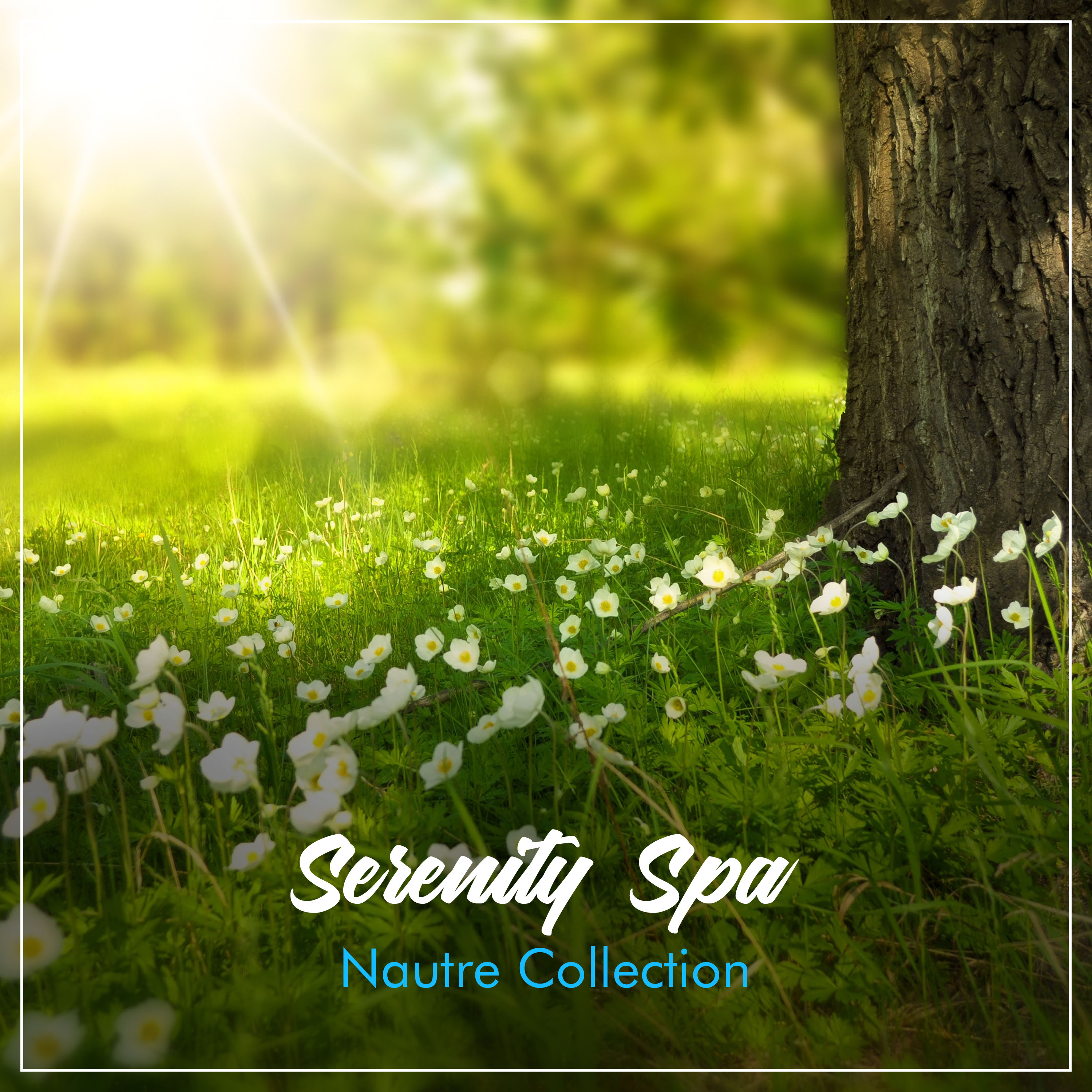 2018 Serenity Spa Nature Collection: Unwind, Let Go & Relax