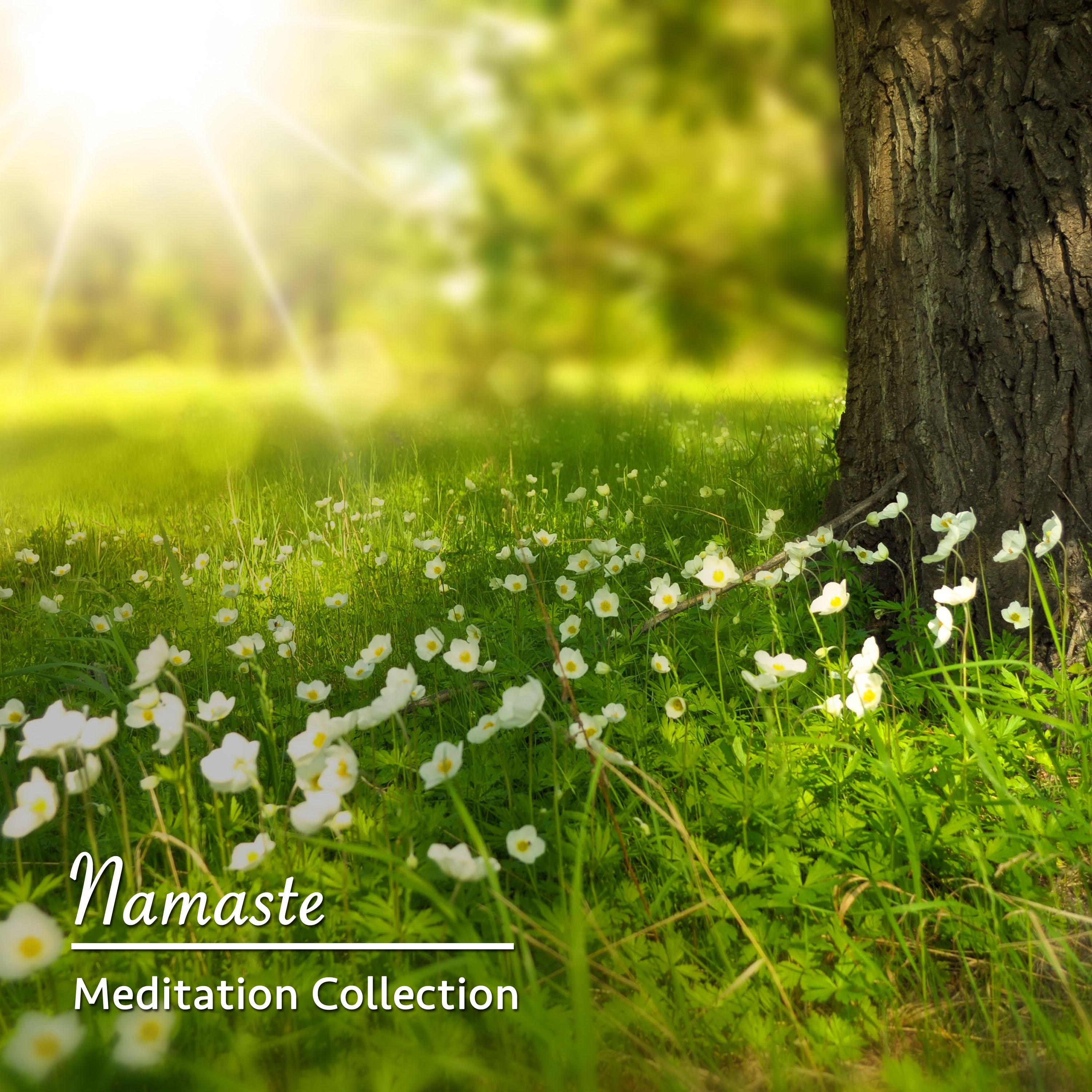 11 Namaste Meditation Collection
