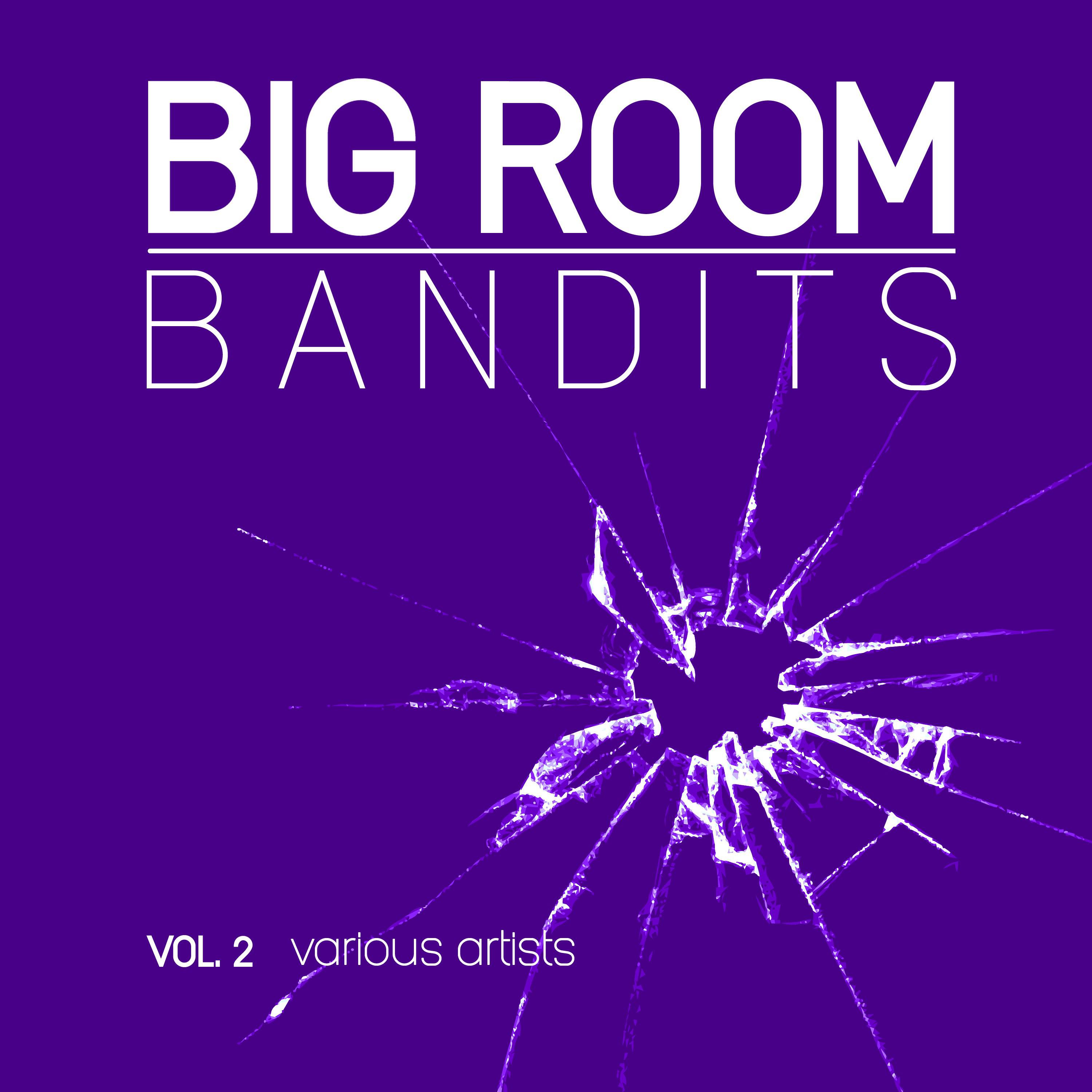 Big Room Bandits, Vol. 2