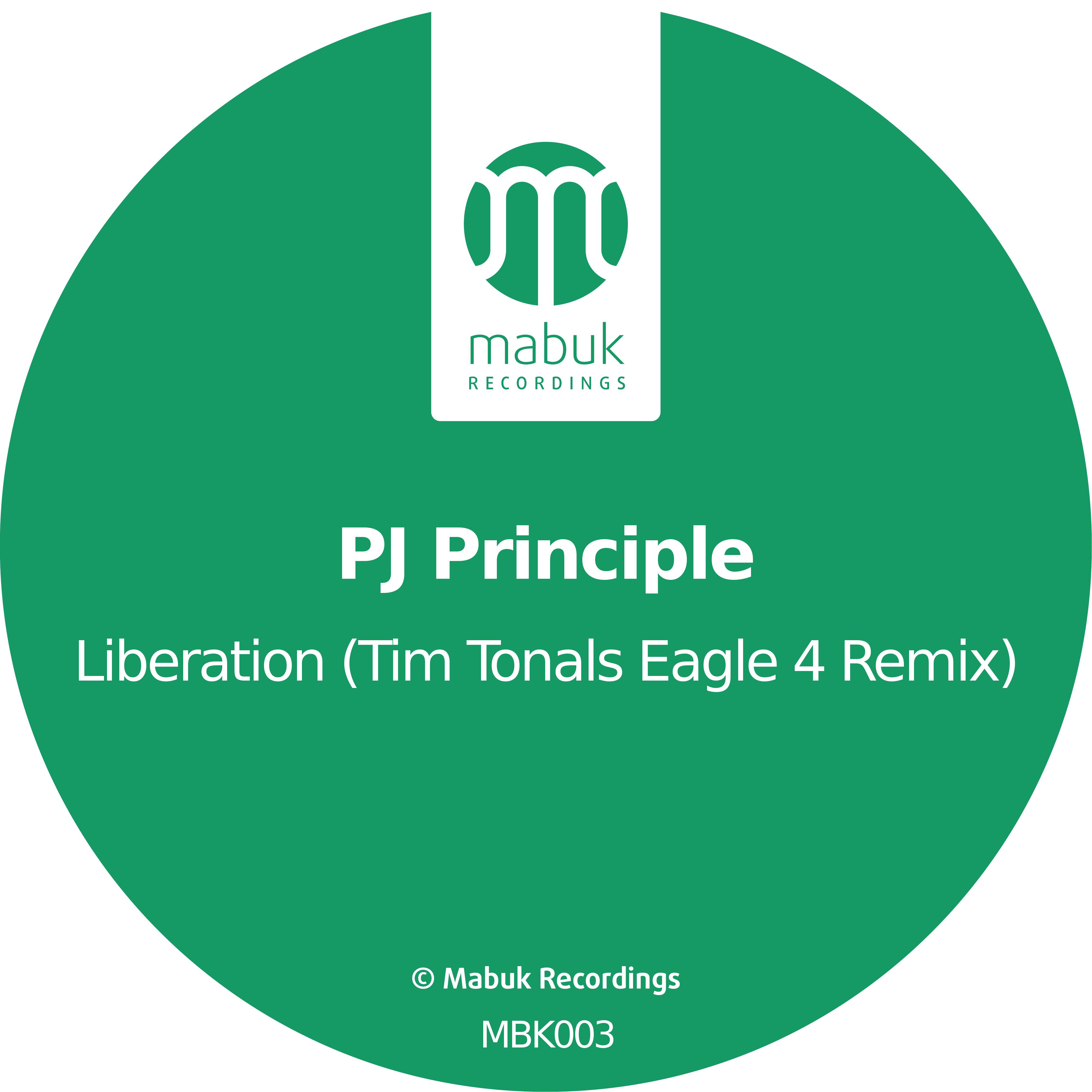 Liberation (Tim Tonals Eagle 4 Remix)