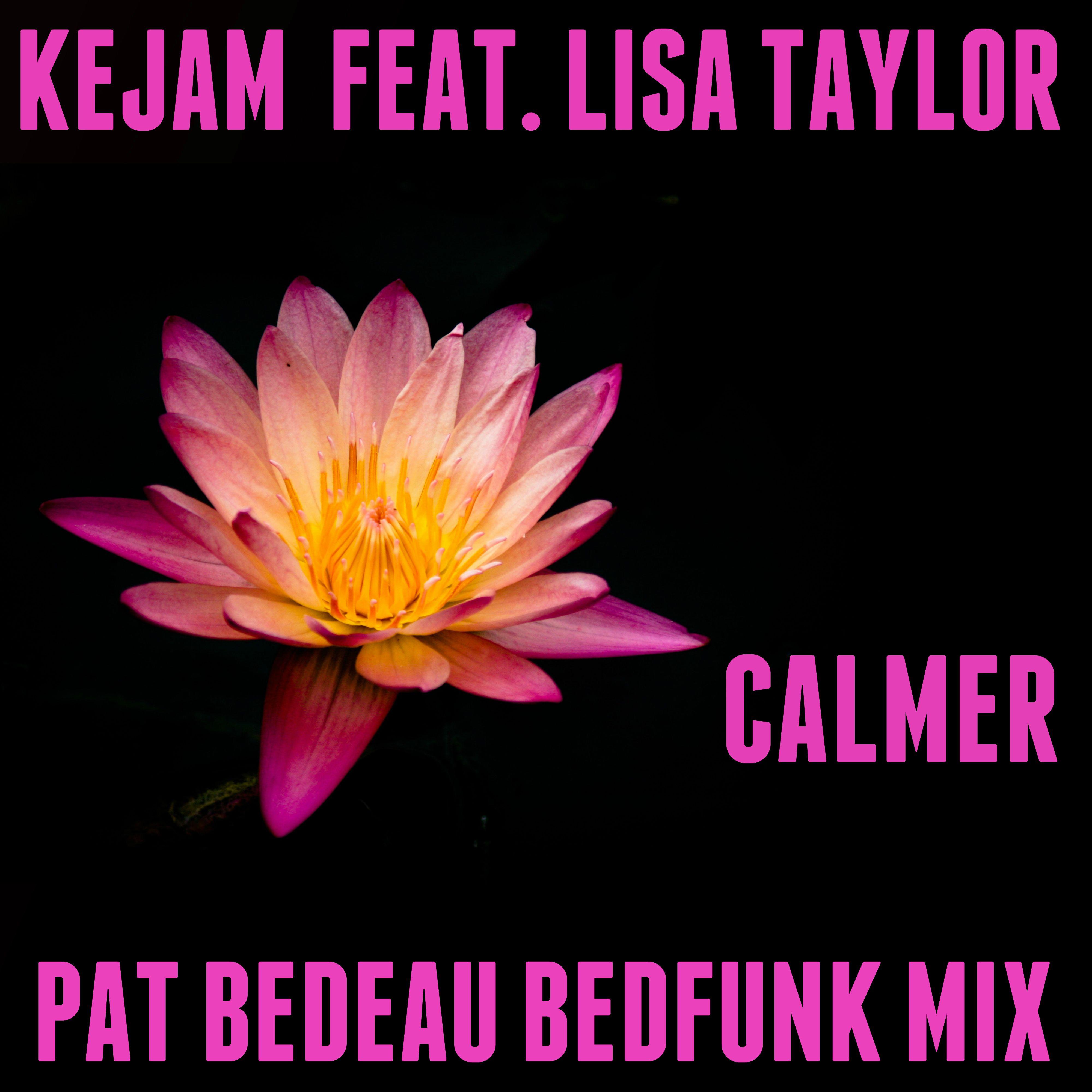 Calmer (Pat Bedeau Bedfunk DubMix)