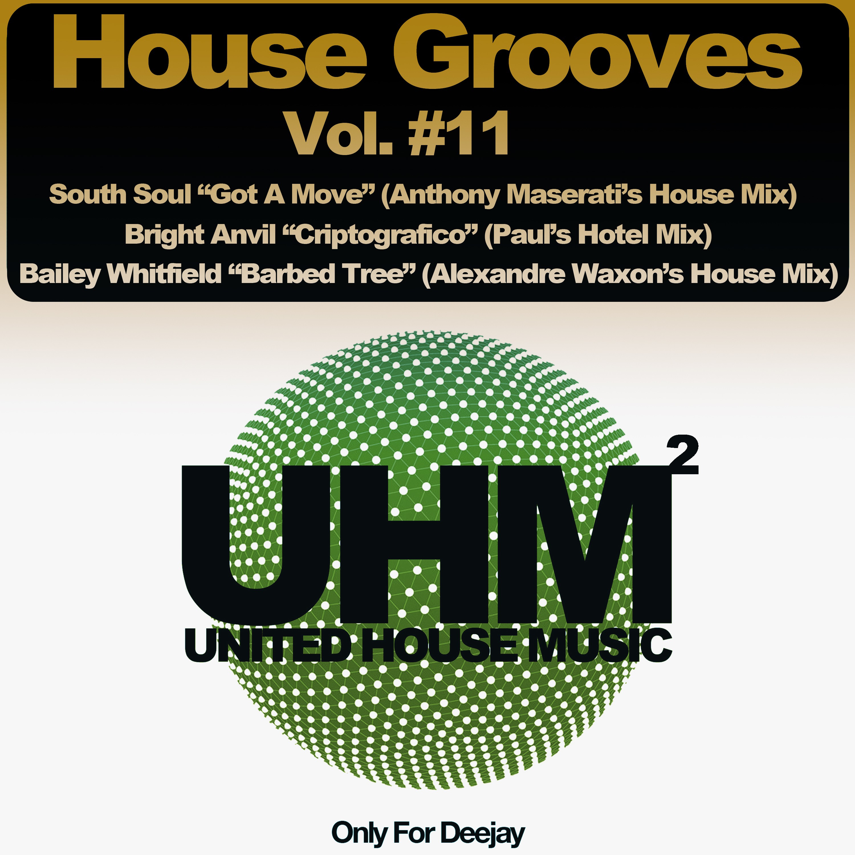 House Grooves, Vol. 11