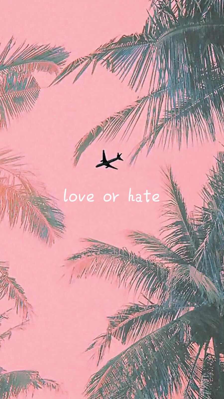 love or hate